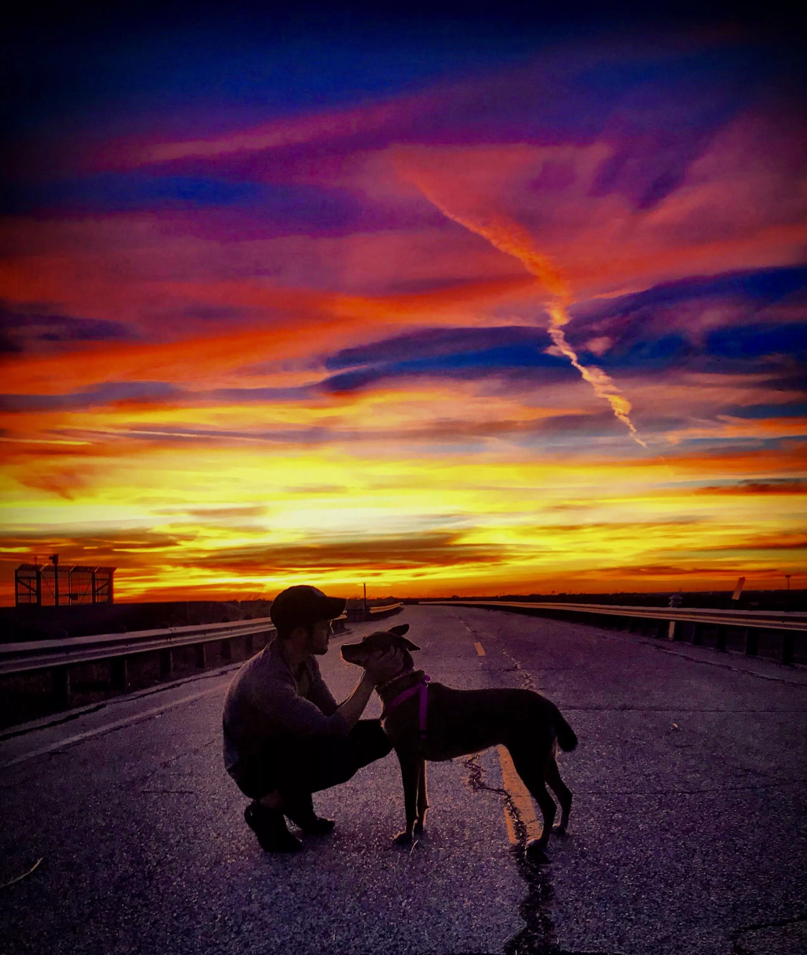 Just a man and his best friend posted by Comfortable-Phase-10