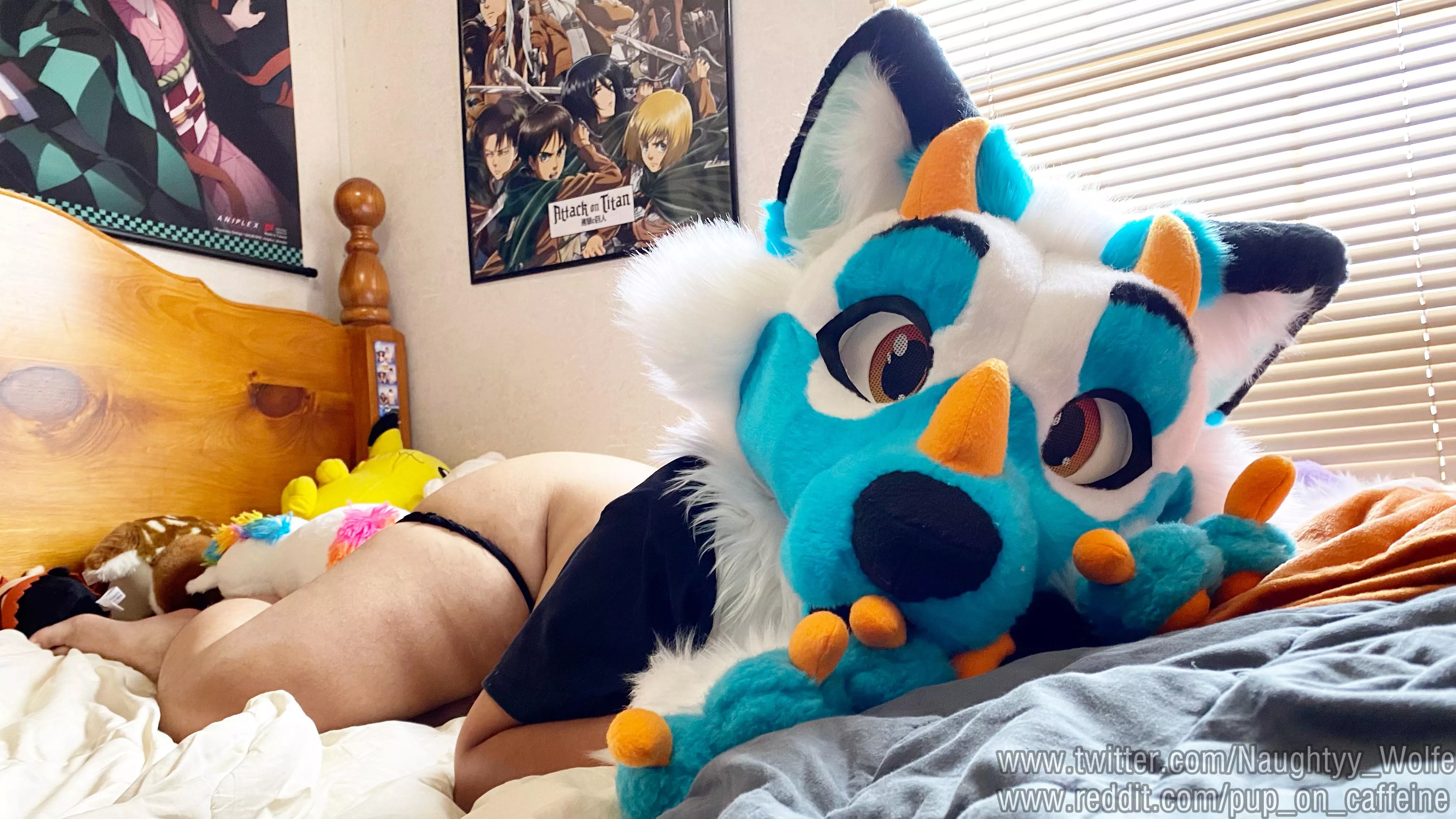 Just a pubby chillin’ with his panties down posted by pup_on_caffeine