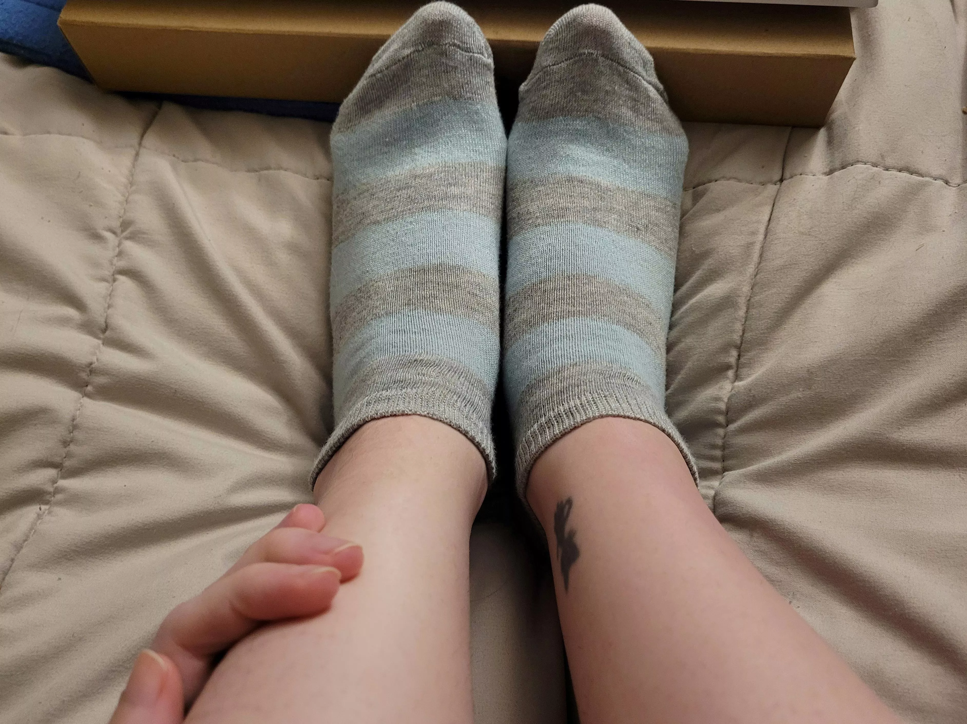 Just a quick shot of my new socks while working on a paper...I think they make my ankles look sexy 😘 posted by socksbyclara