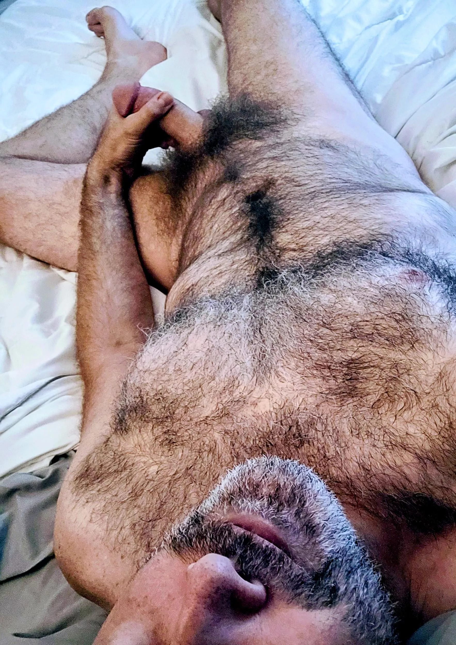 Just a regular hairy, horny, dad posted by Regdude1072