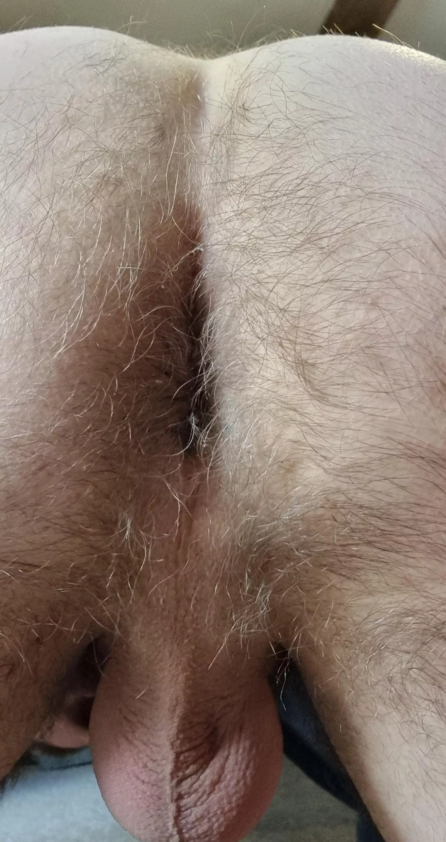 Just another hairy ass 🙈 posted by son2507