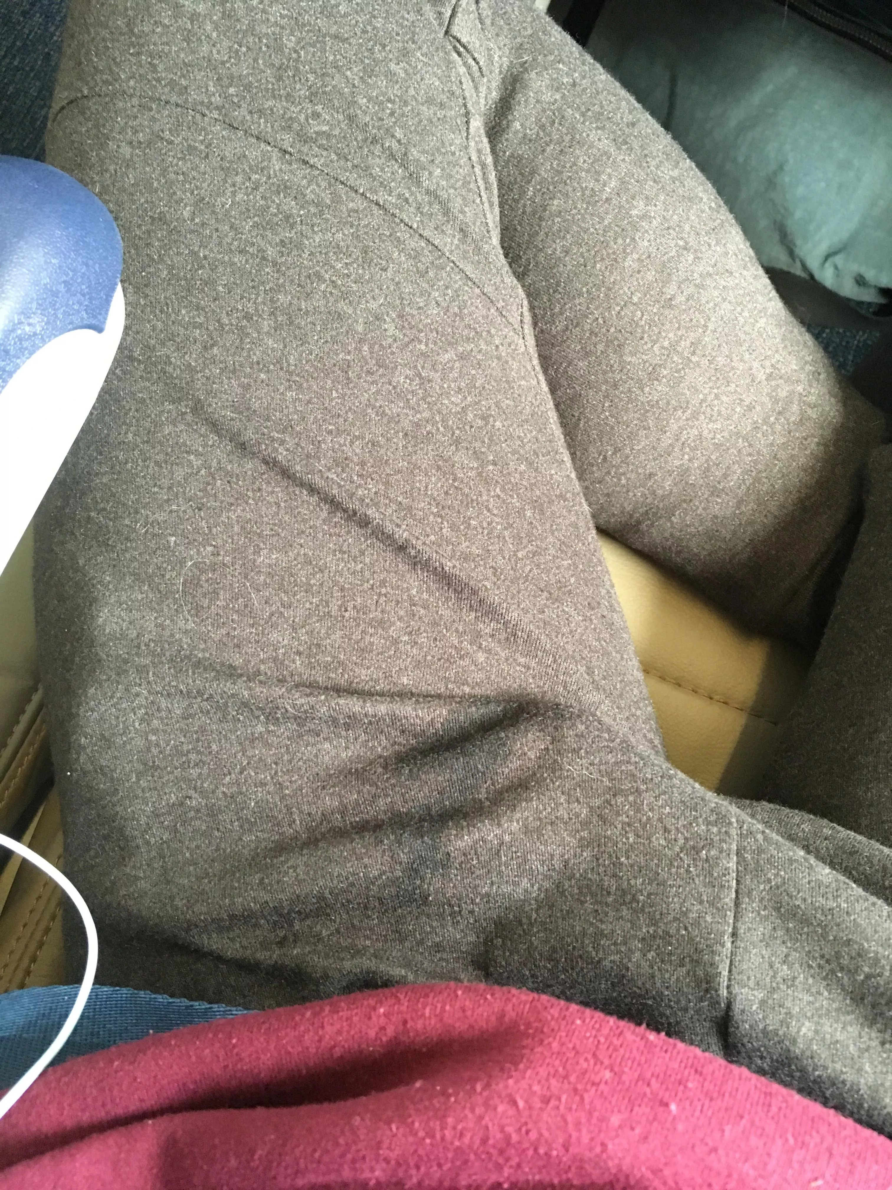 Just came in my sweats on my flightâ€¦ oops ðŸ¤·ðŸ¼â€â™‚ï¸ posted by hisThighness