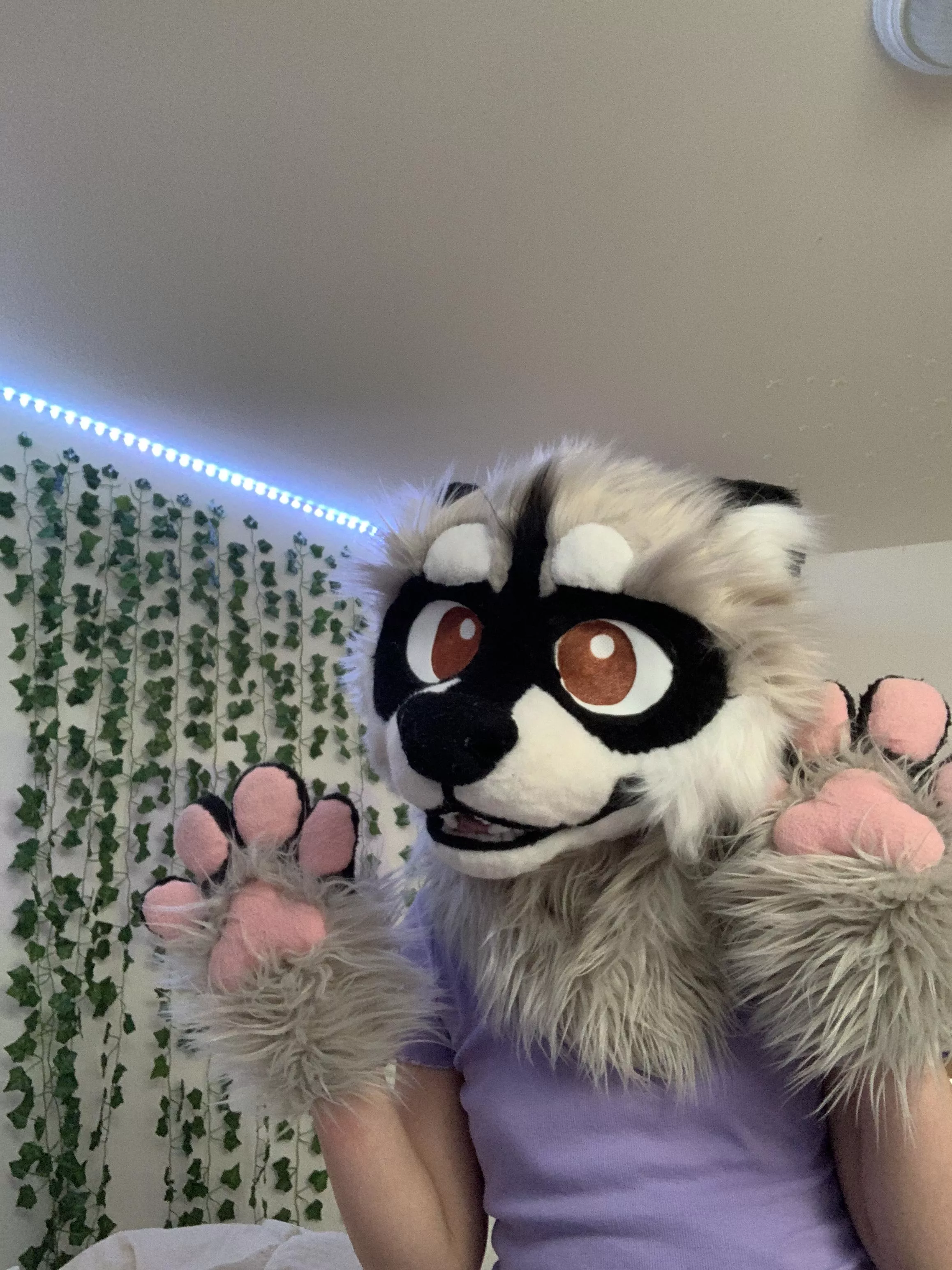 Just got my first fursuit!! posted by Lopsided-Extreme5627