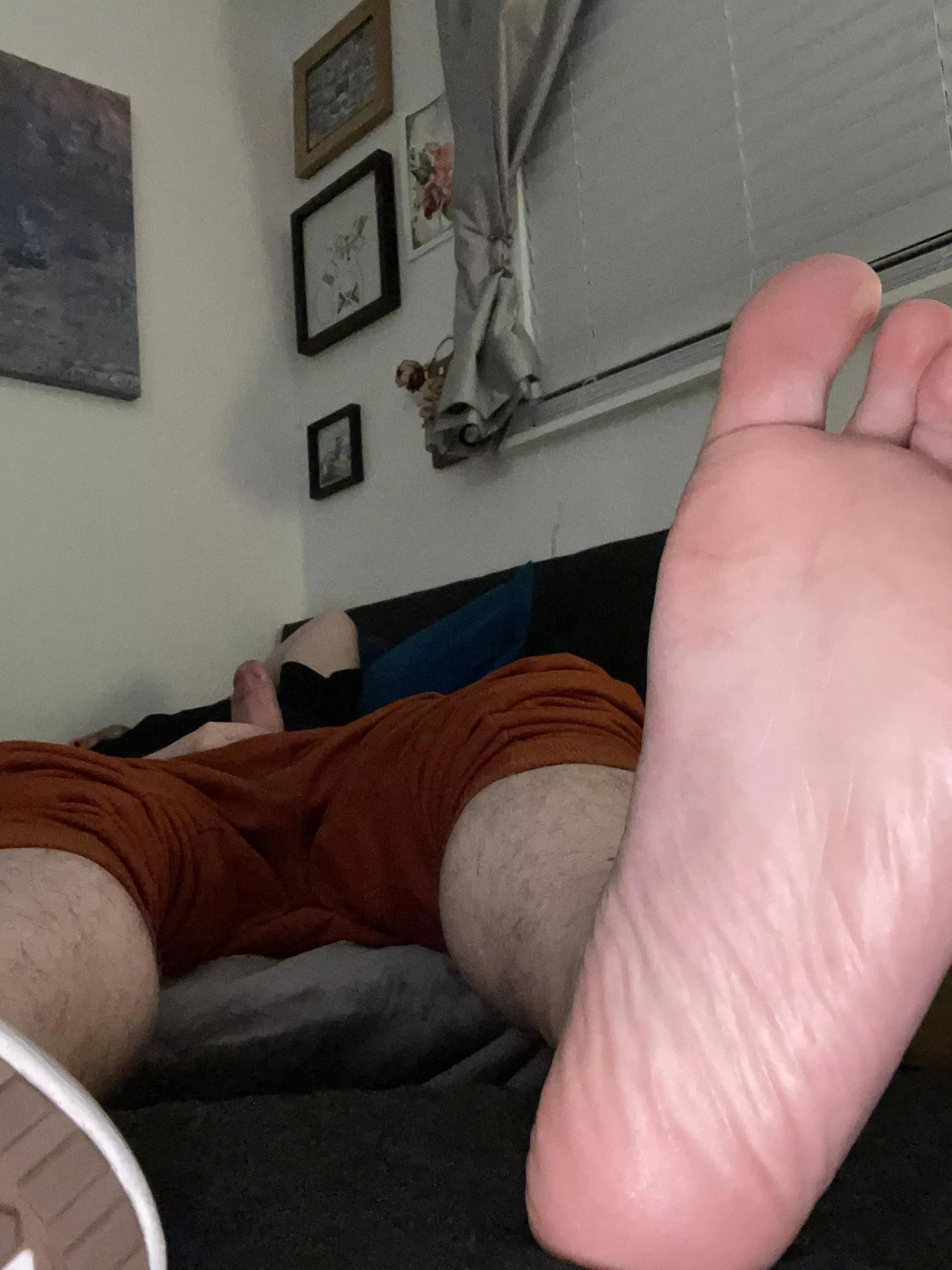 Just had to rub one out with my foot in your face posted by throwwawayy7765