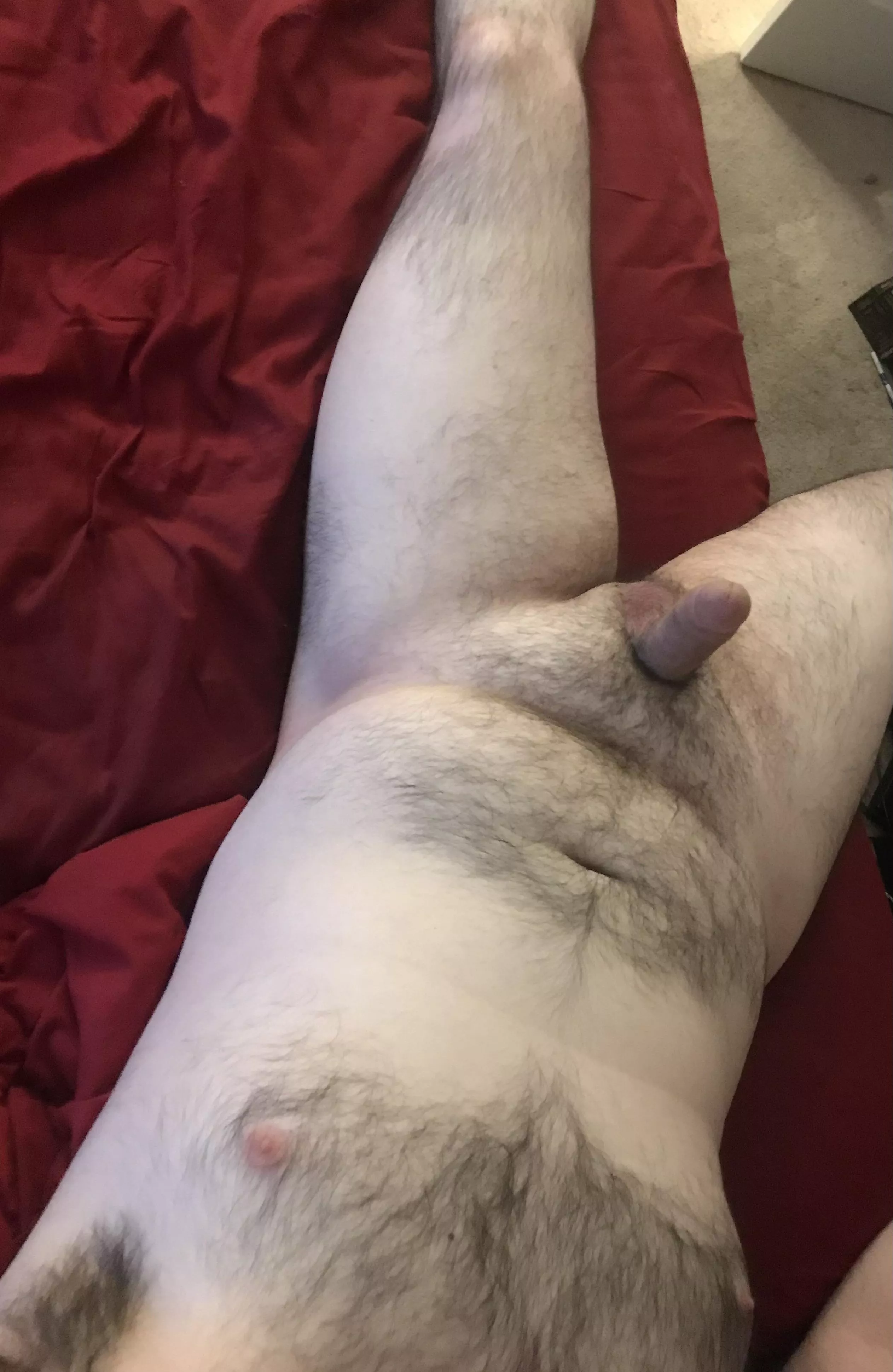 Just laying in bed, anyone care to join? posted by ErmAdult2