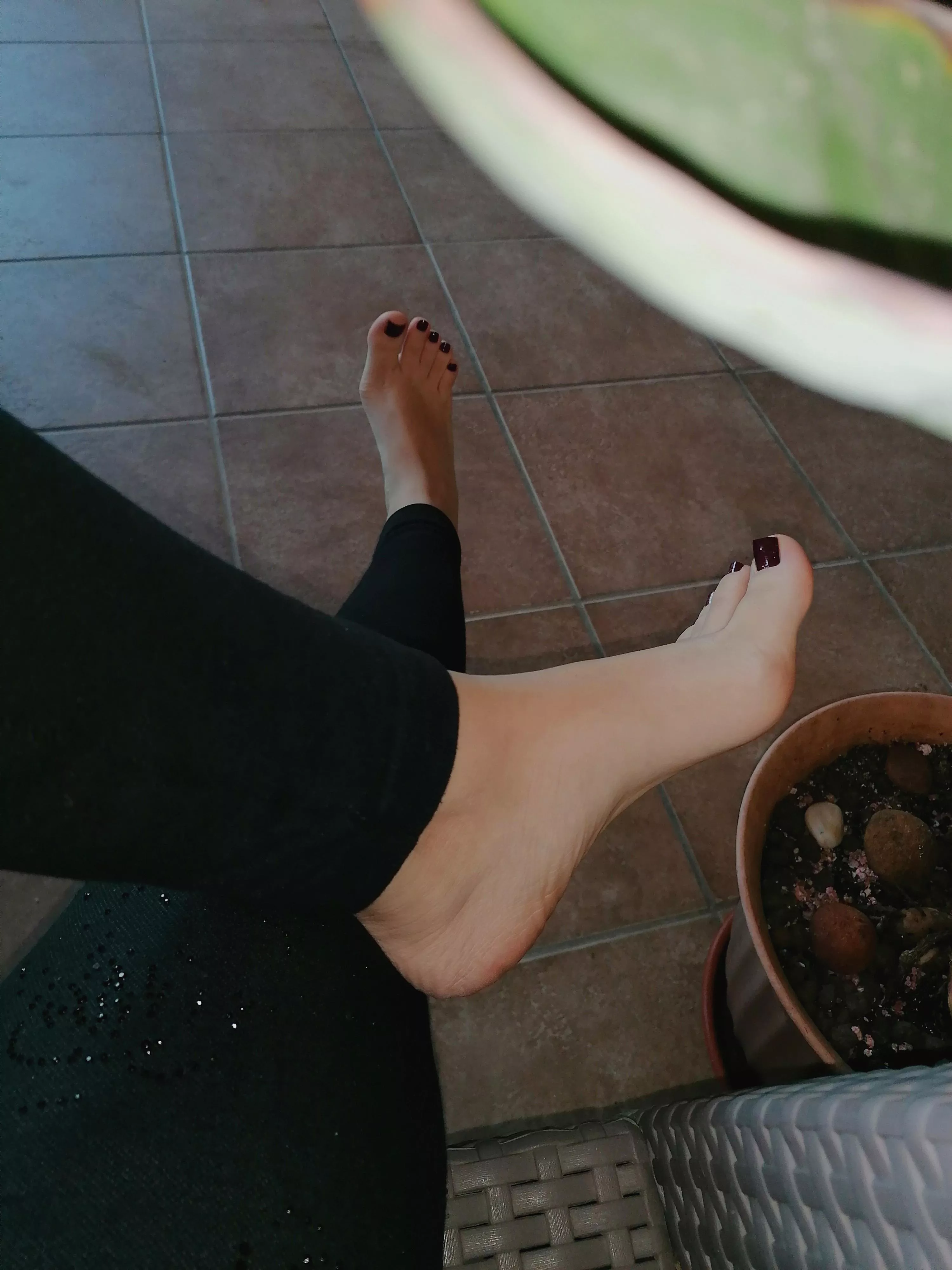 Just popping in to show off my feet 😏 DMs are open... posted by giuliainitaly