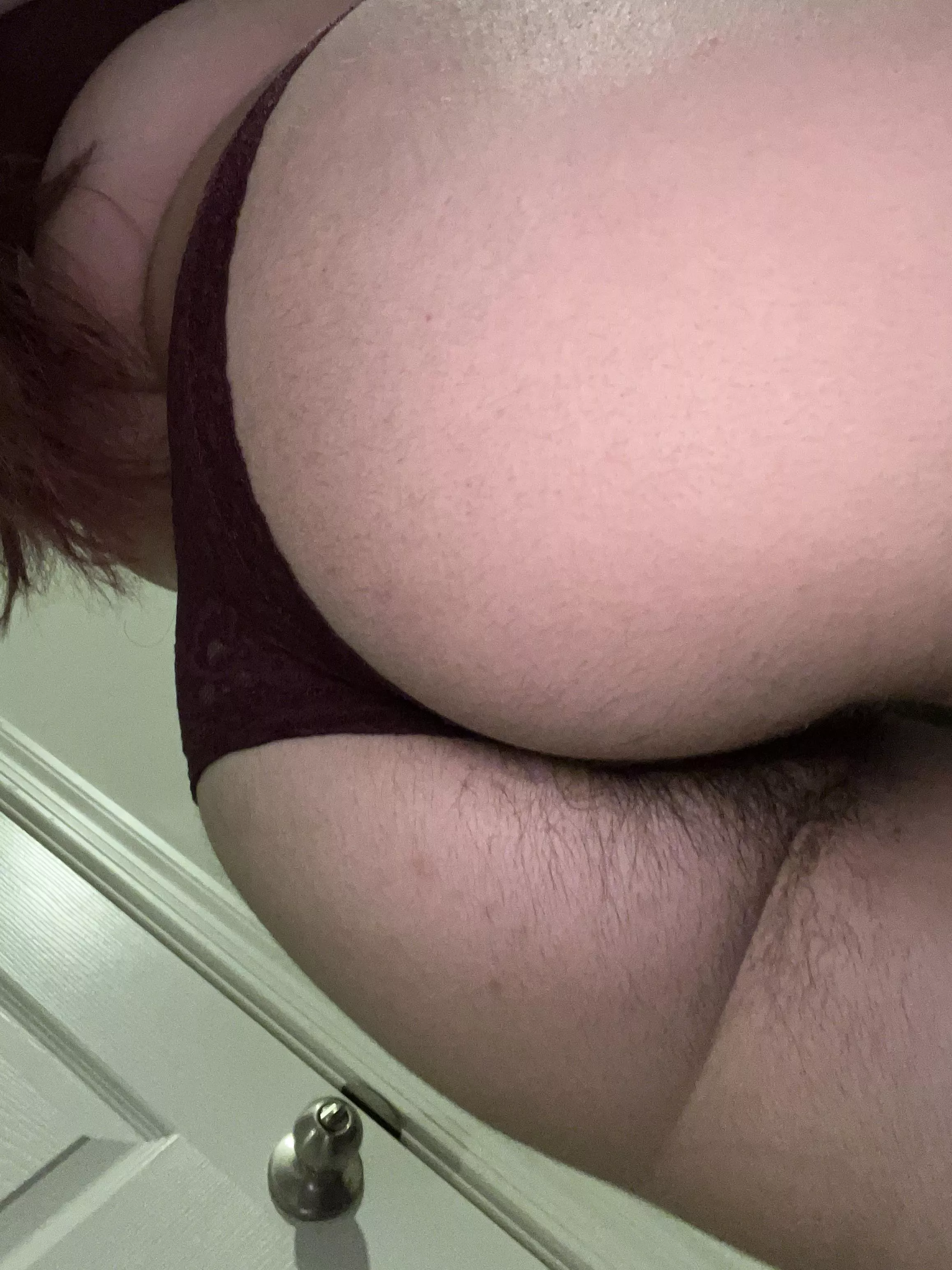 just waiting to be stuffed posted by pjbabe1