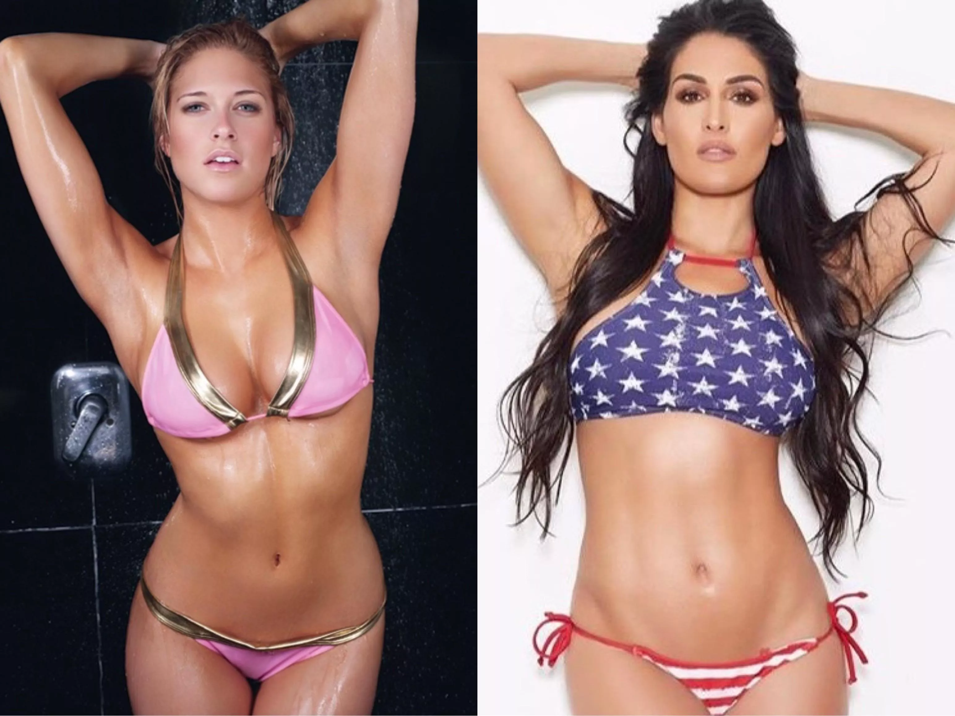 Kelly Kelly or Nikki Bella? posted by throwaway645298