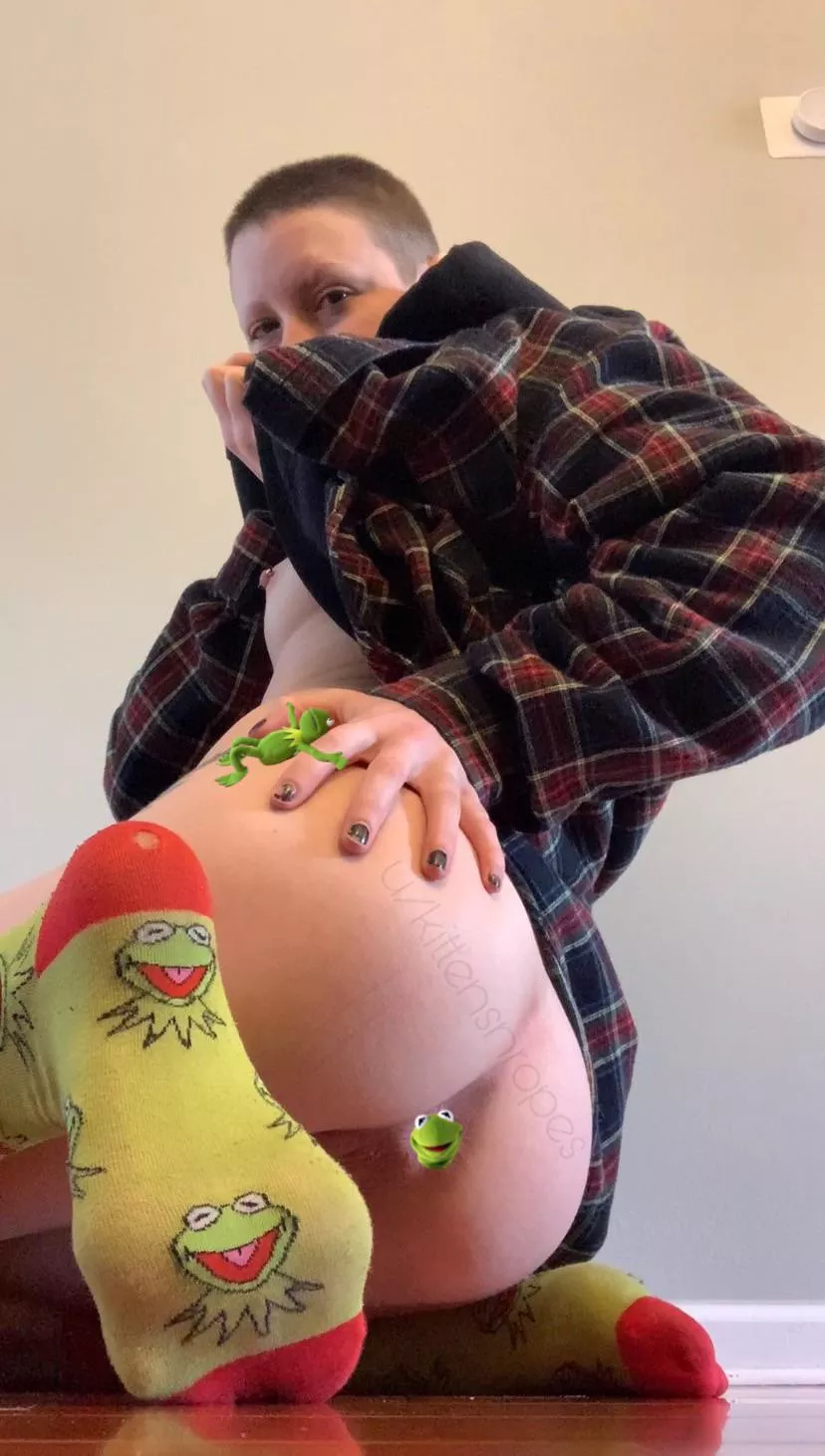 Kermit the Frog here! 🐸 Would you fuck my ass if I wore my fun socks? posted by kittensnropes