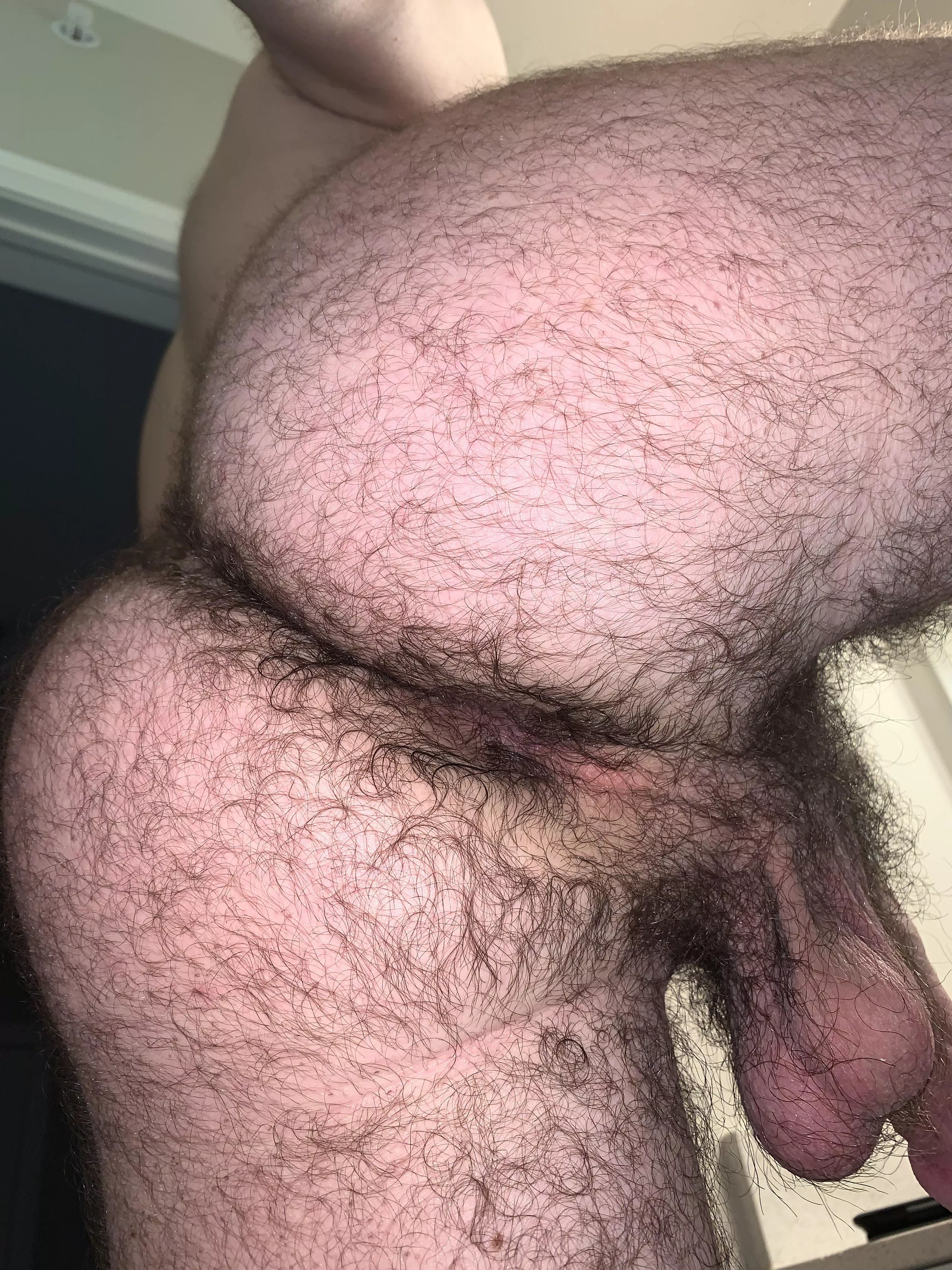 Kiss my hairy man ass posted by _ope_