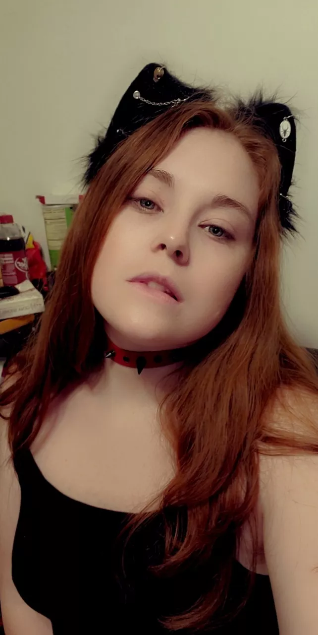 Kitty ears and my collar posted by raynemercy