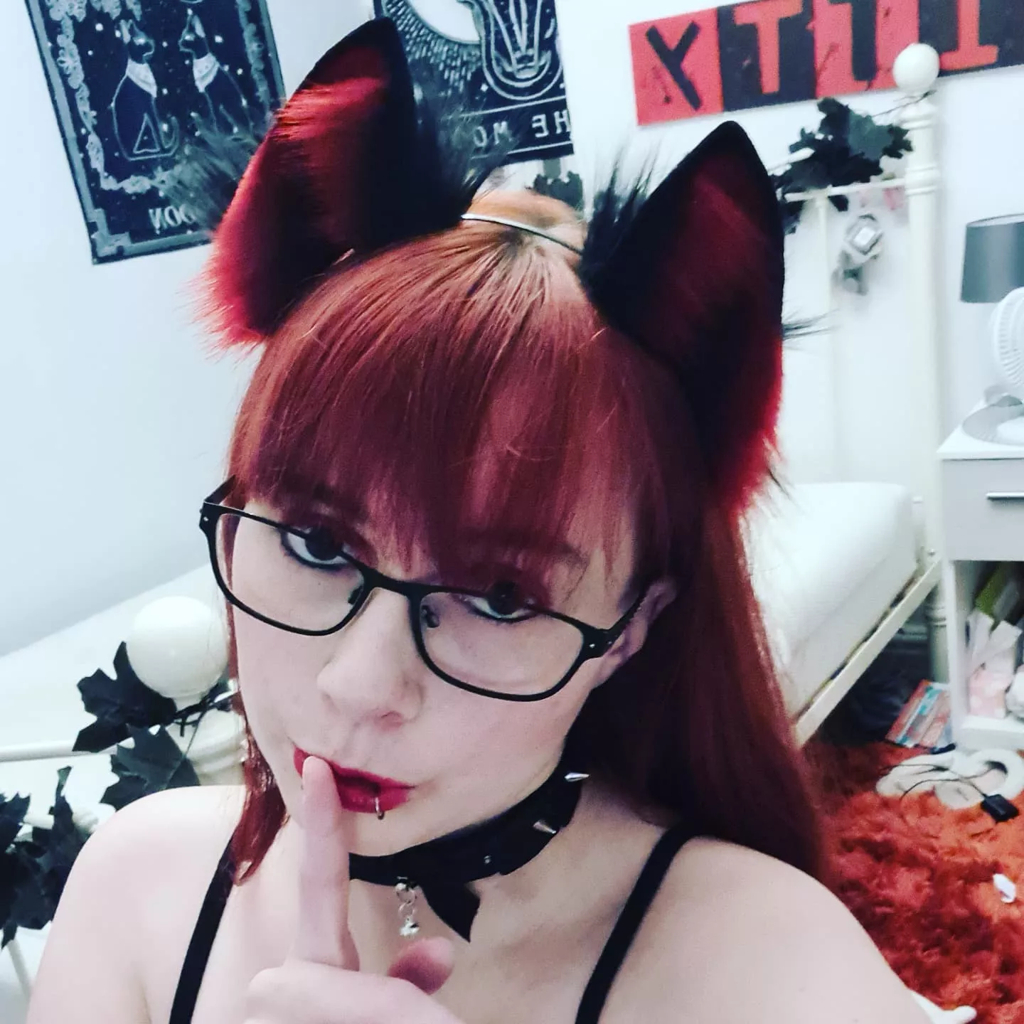 Kitty loves her new ears...do you agree? 😏 posted by Pixieboo93