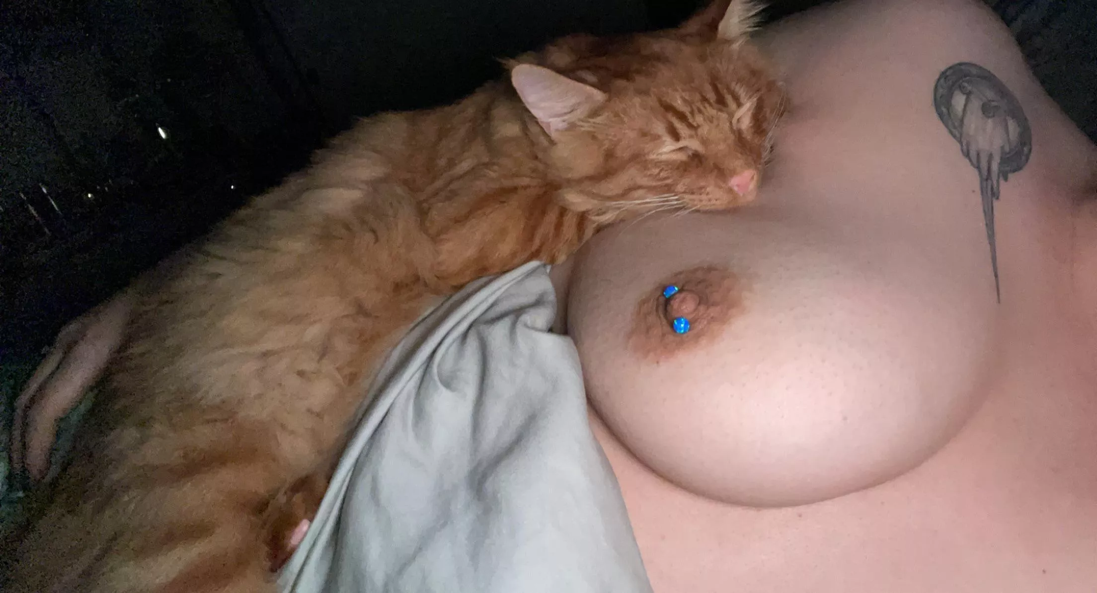 kitty & titty posted by AdmirableBand8774