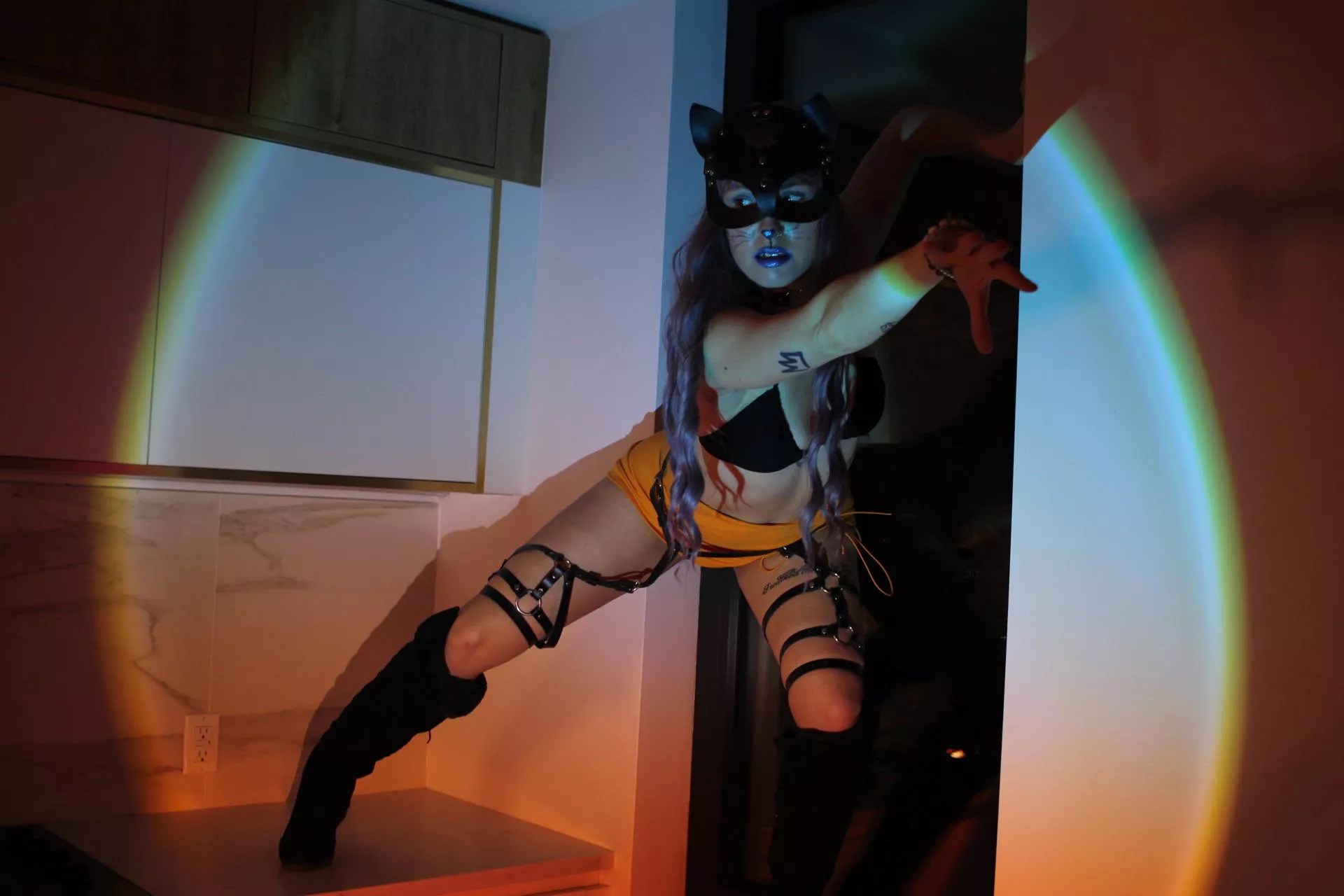 Krystal Kitty - you never know when she will climb into your house 😈 posted by curiousjournies