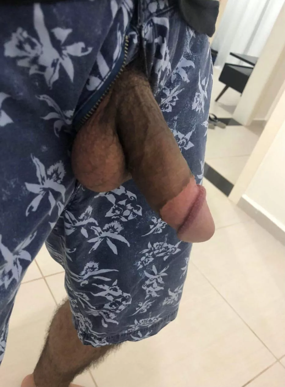 Latin cut cock posted by eujeff