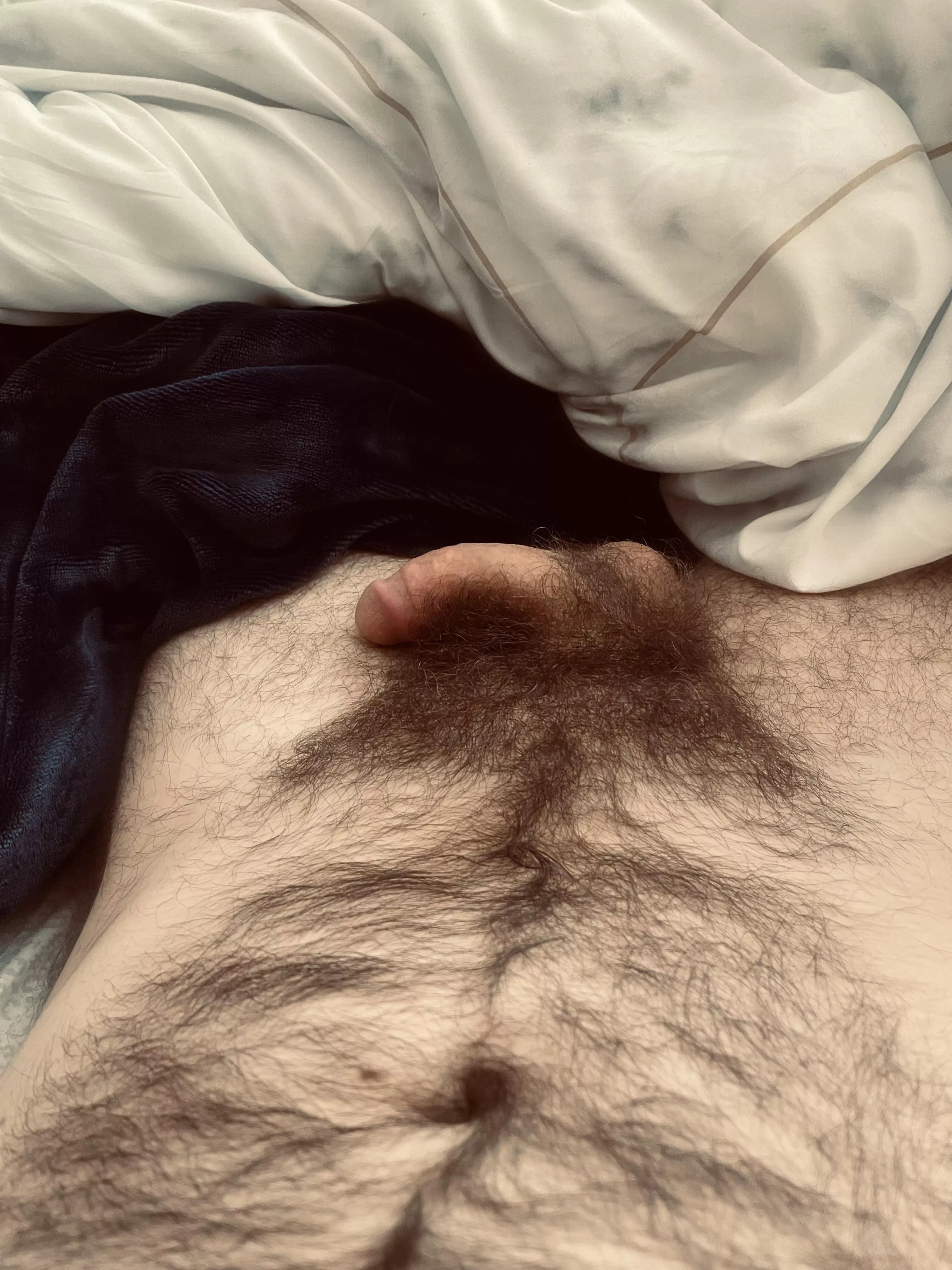 Lazy day… do you approve of my bush? posted by JeffYep65