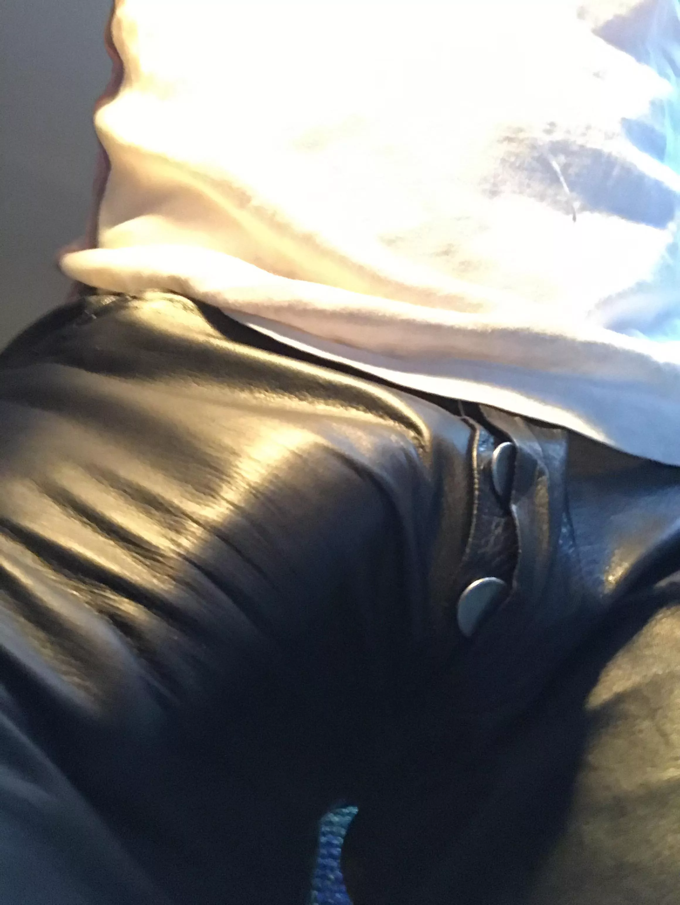 Leather bulge posted by Typical_Marketing_23