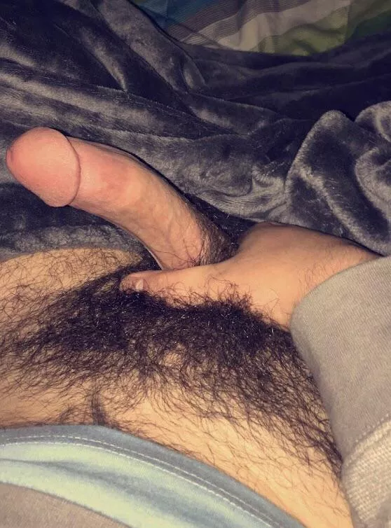 Let’s play with each other’s pubes. Open to chat posted by kevbro804