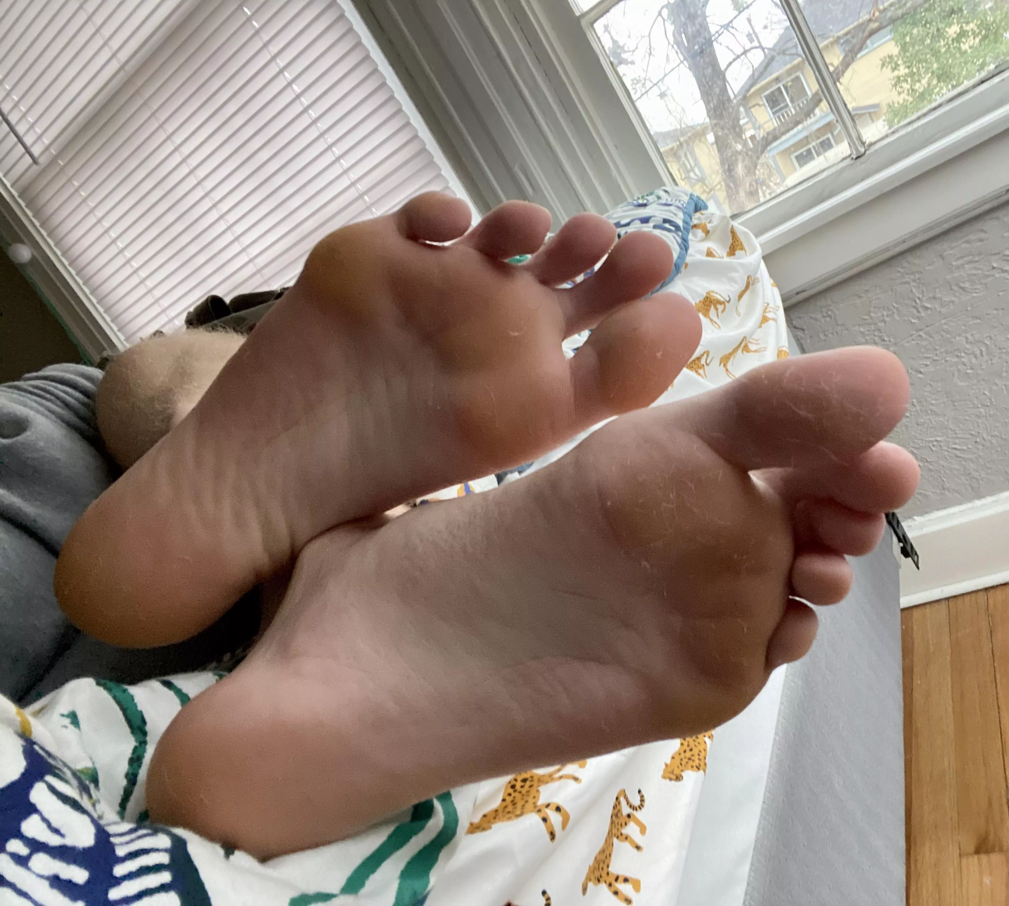 Lick the fuzz from my socks off of these feet, and then worship like it’s your only purpose. posted by BlondeBoyFoot