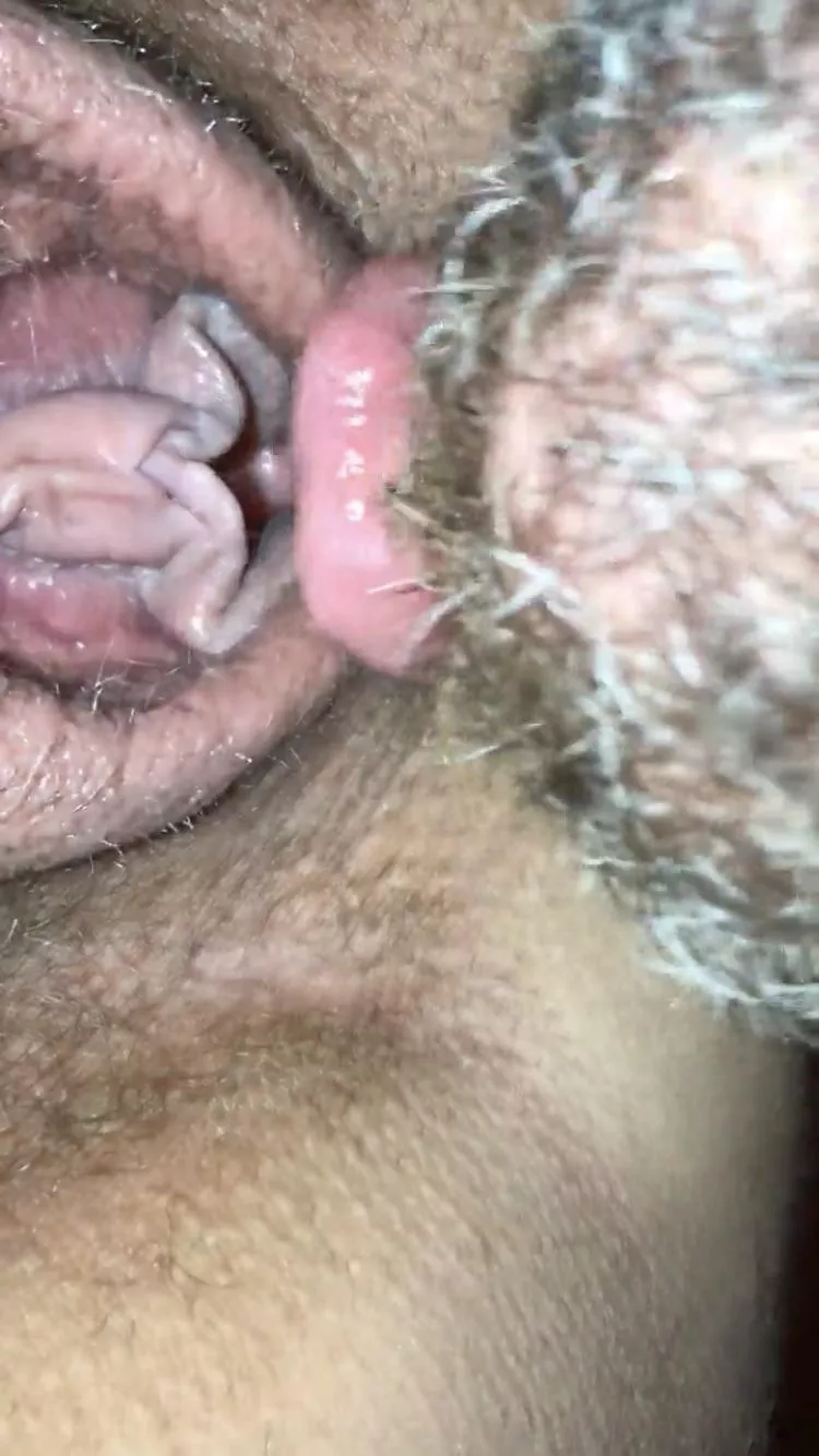 Licking her creamy cunt. posted by Ferverweg