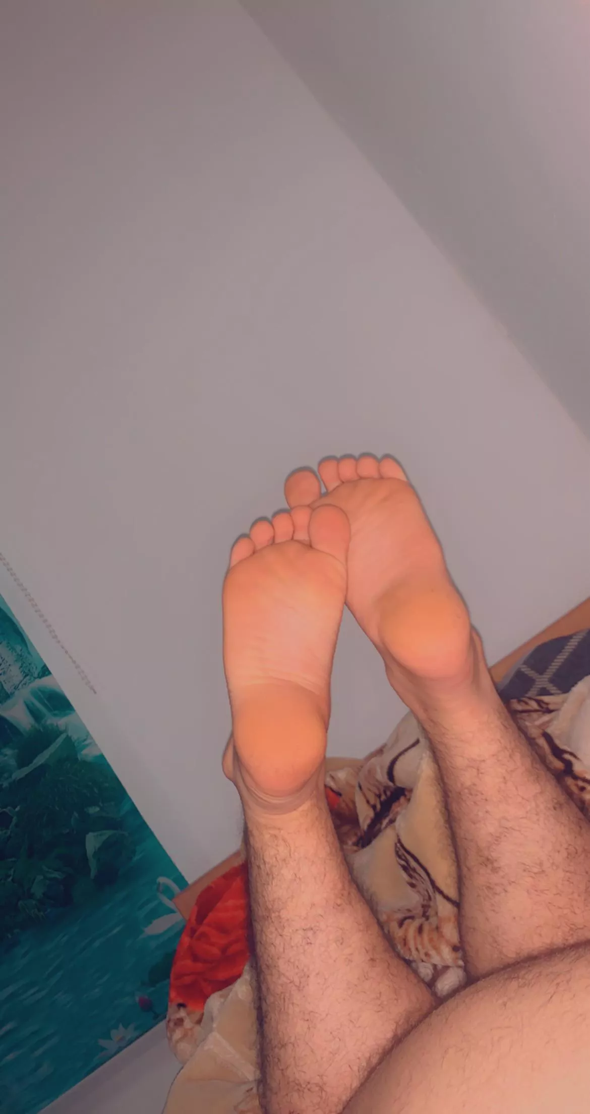 licking my soles and toes posted by oscarpavel