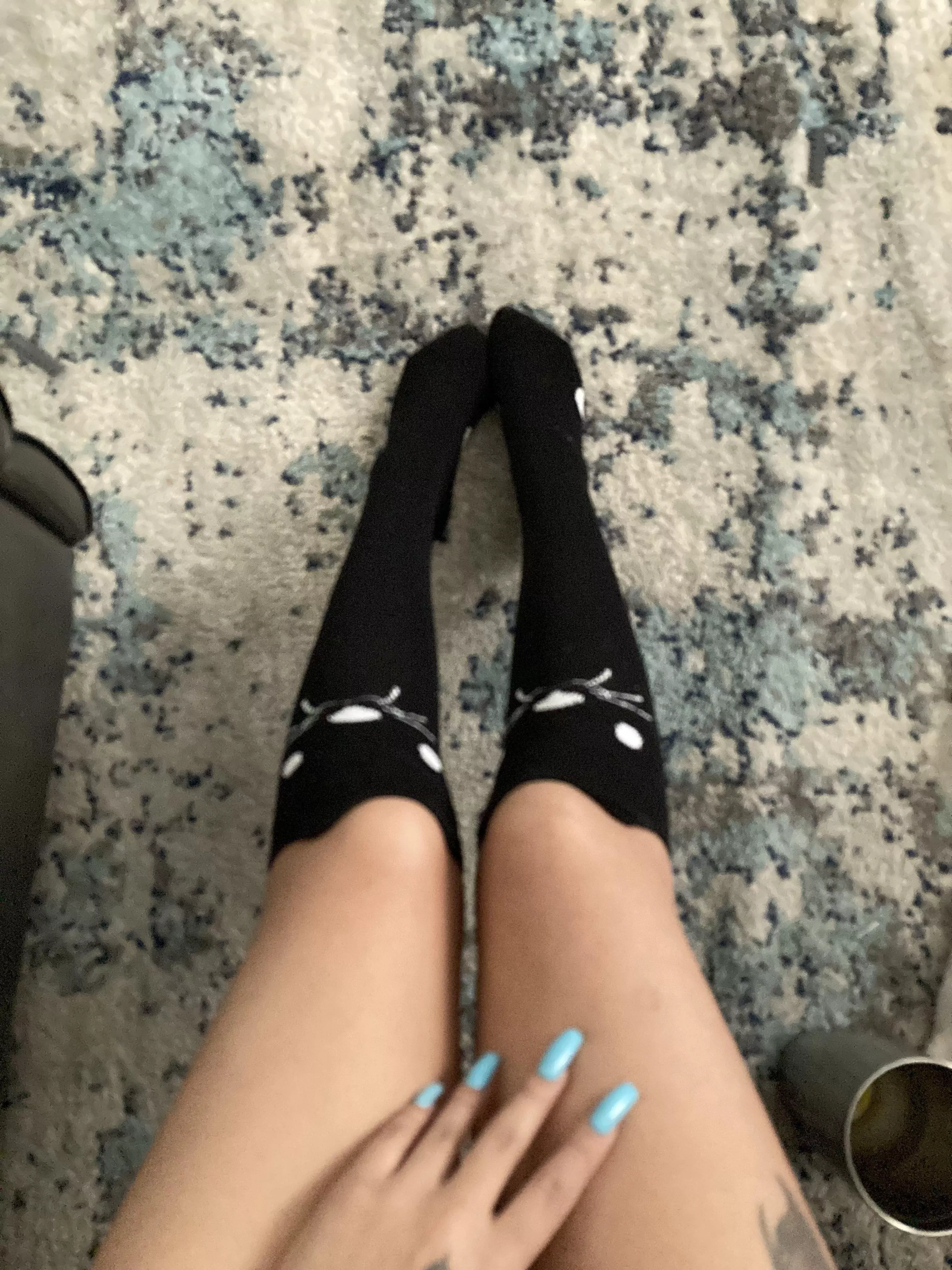 Life is better in cozy cat socks ✨😻 posted by goddessyukari