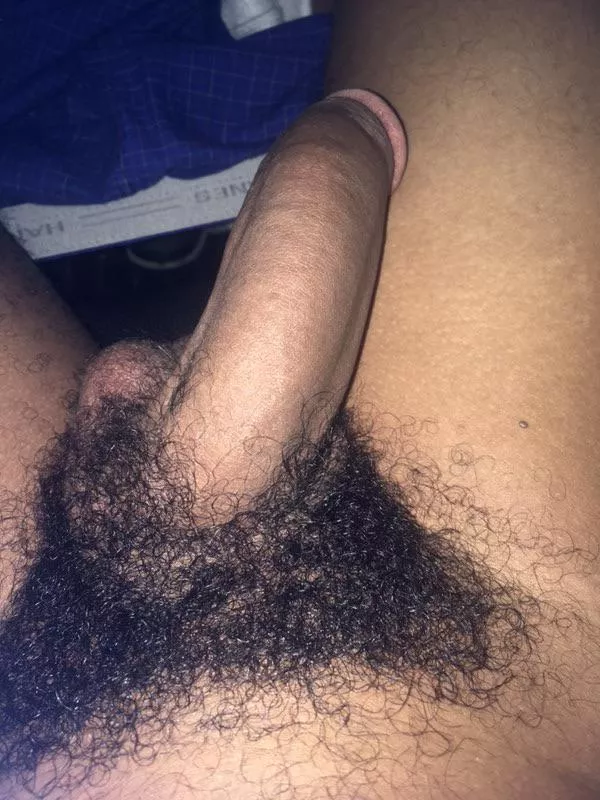 Like black cock ? posted by curved9inch1