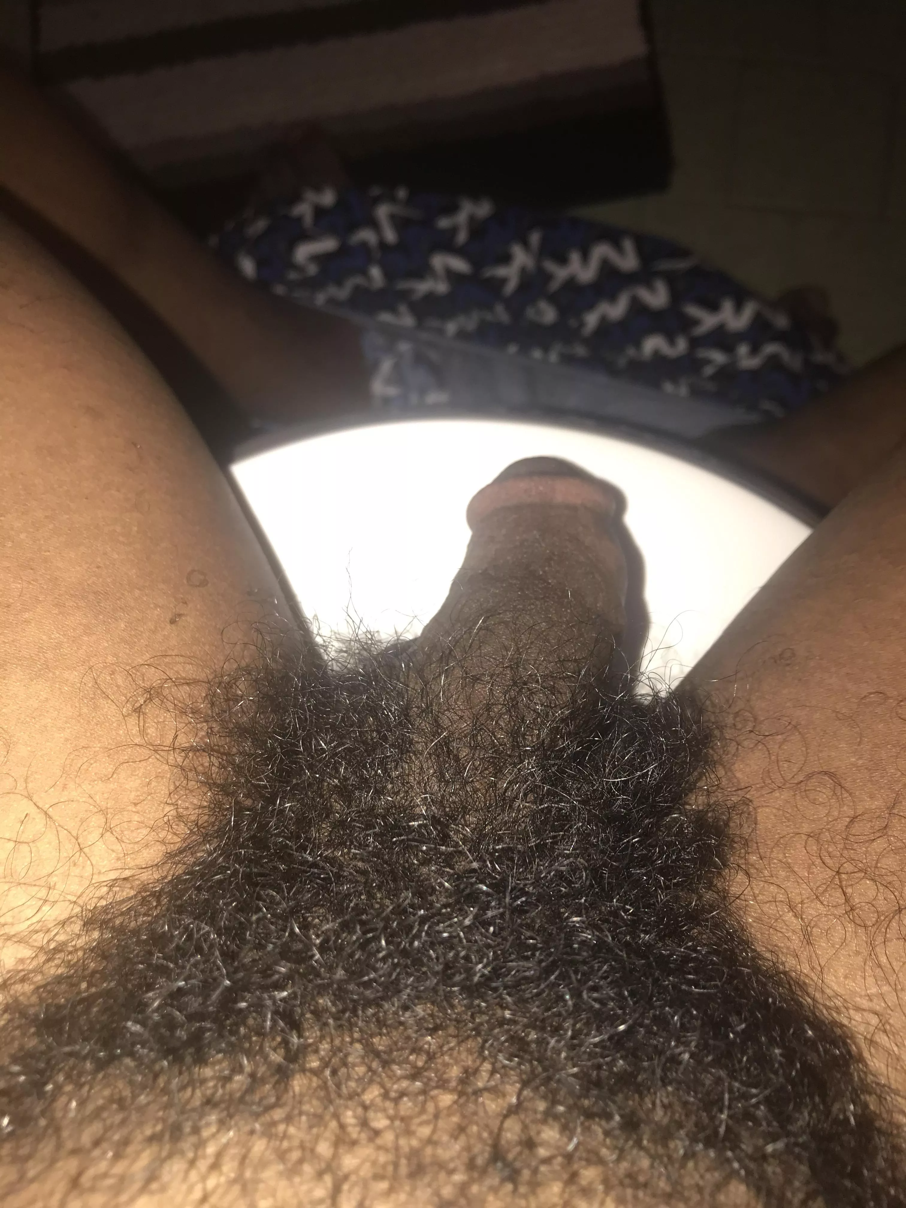 Like my bush? (First post here) posted by Spare-Extension-5626