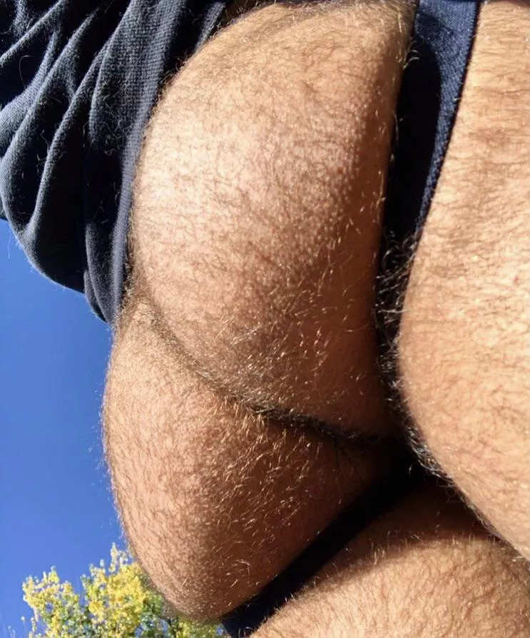 Like my fuzzy ass? ðŸ» posted by TristanMoreau