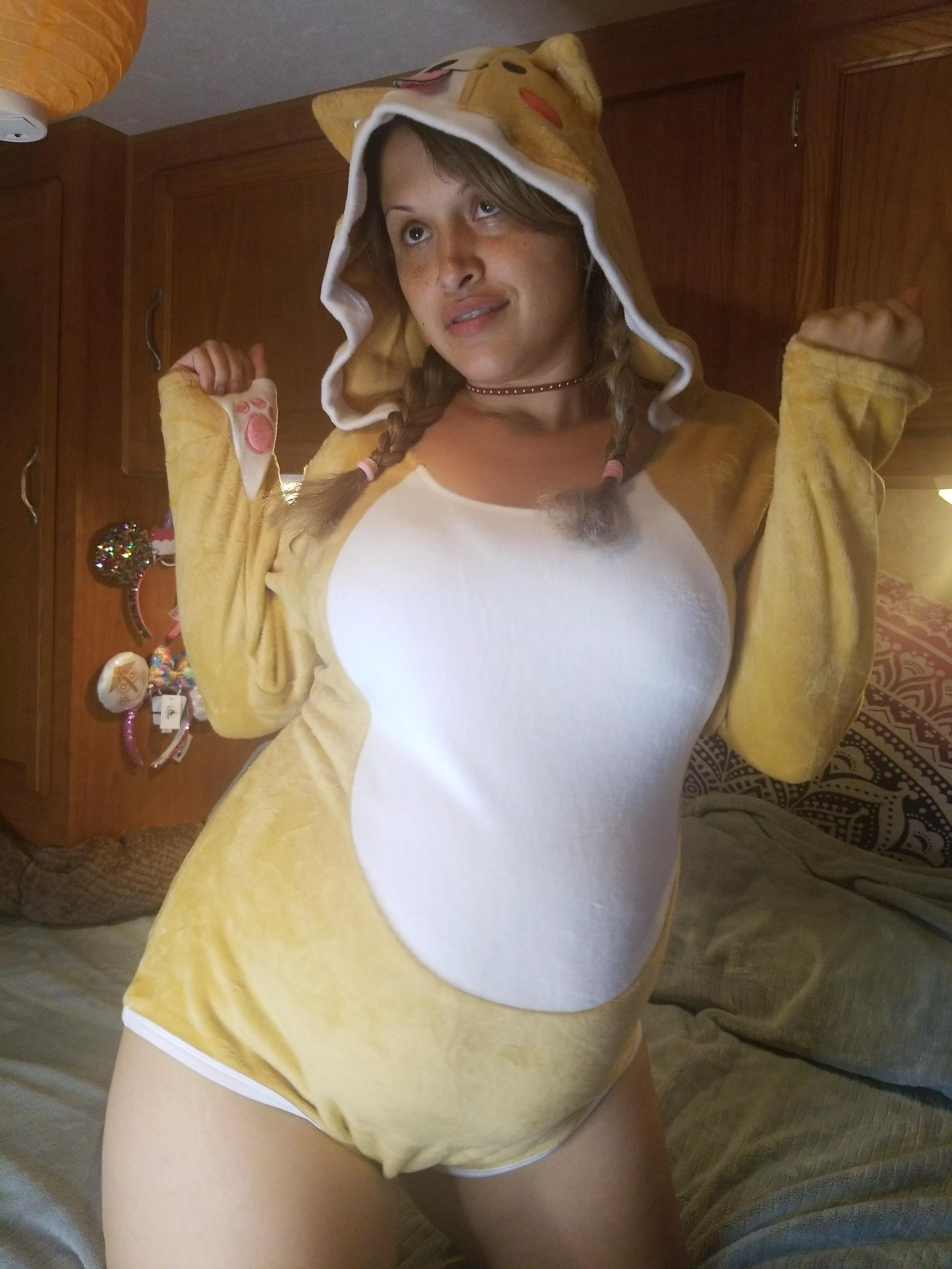 Like my Shiba outfit? Wanna see a little pregnant puppy beg?? posted by CremeFilledBunny