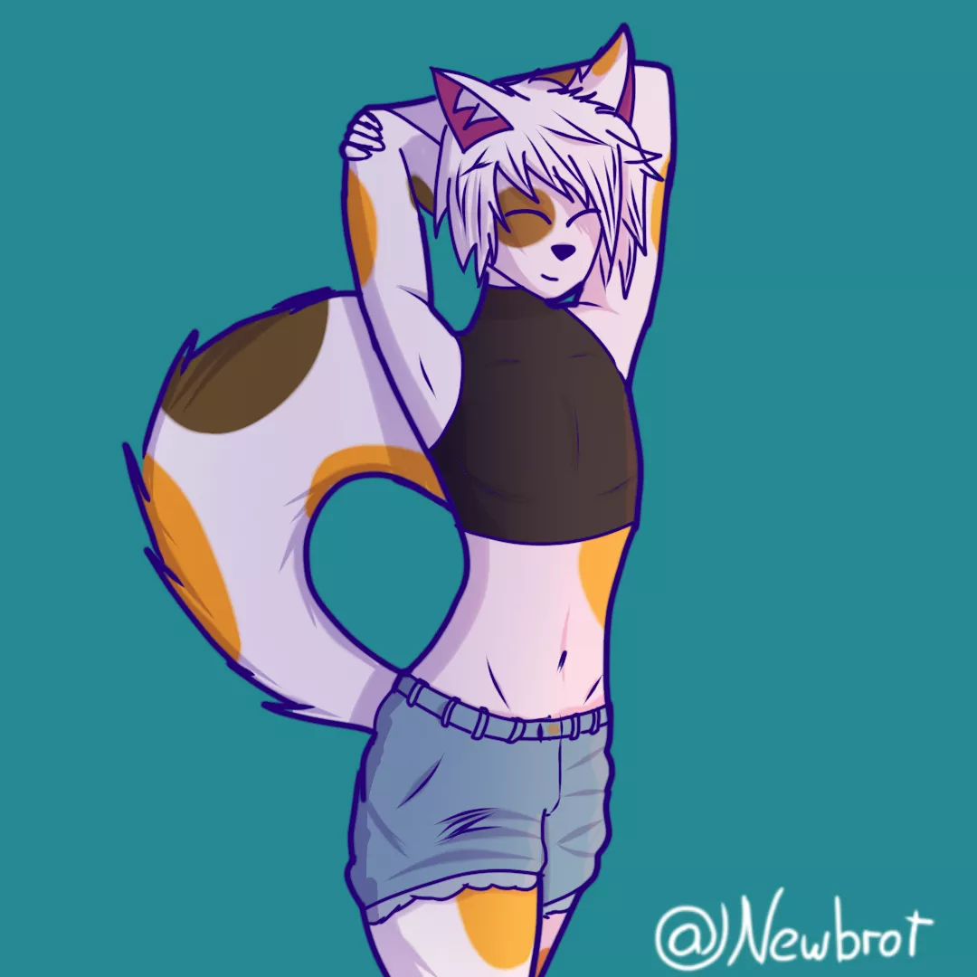 Little cat,First time I draw in this pose but I did it anyway posted by newbrotter