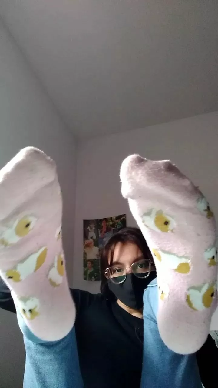 Little hamster socks :) I could put your face right in the middle posted by cloud_baby99