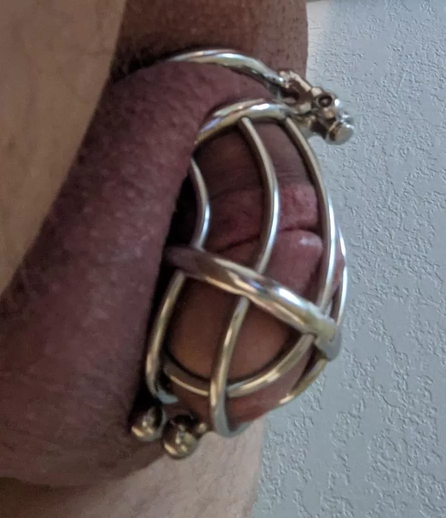 Locked and pierced posted by Lockedpickle