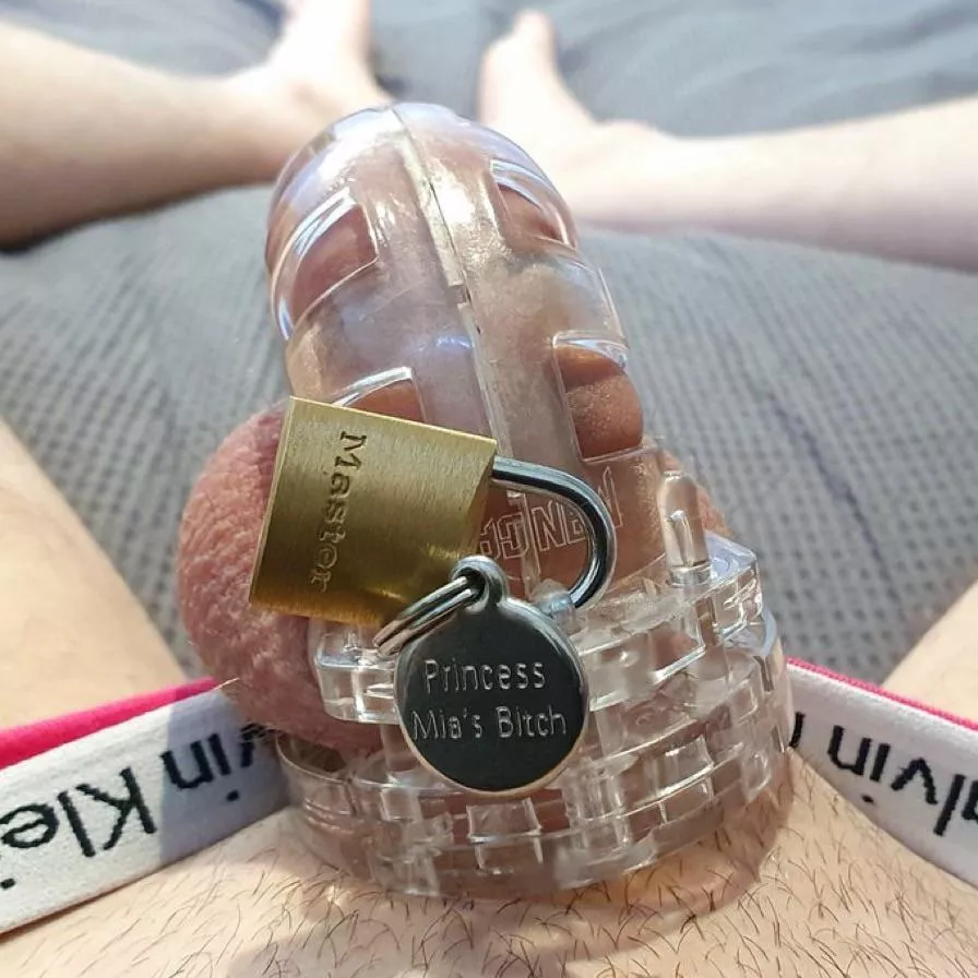 Locked up, panties, and my dog tag. Where he belongs posted by PrincesssMiax