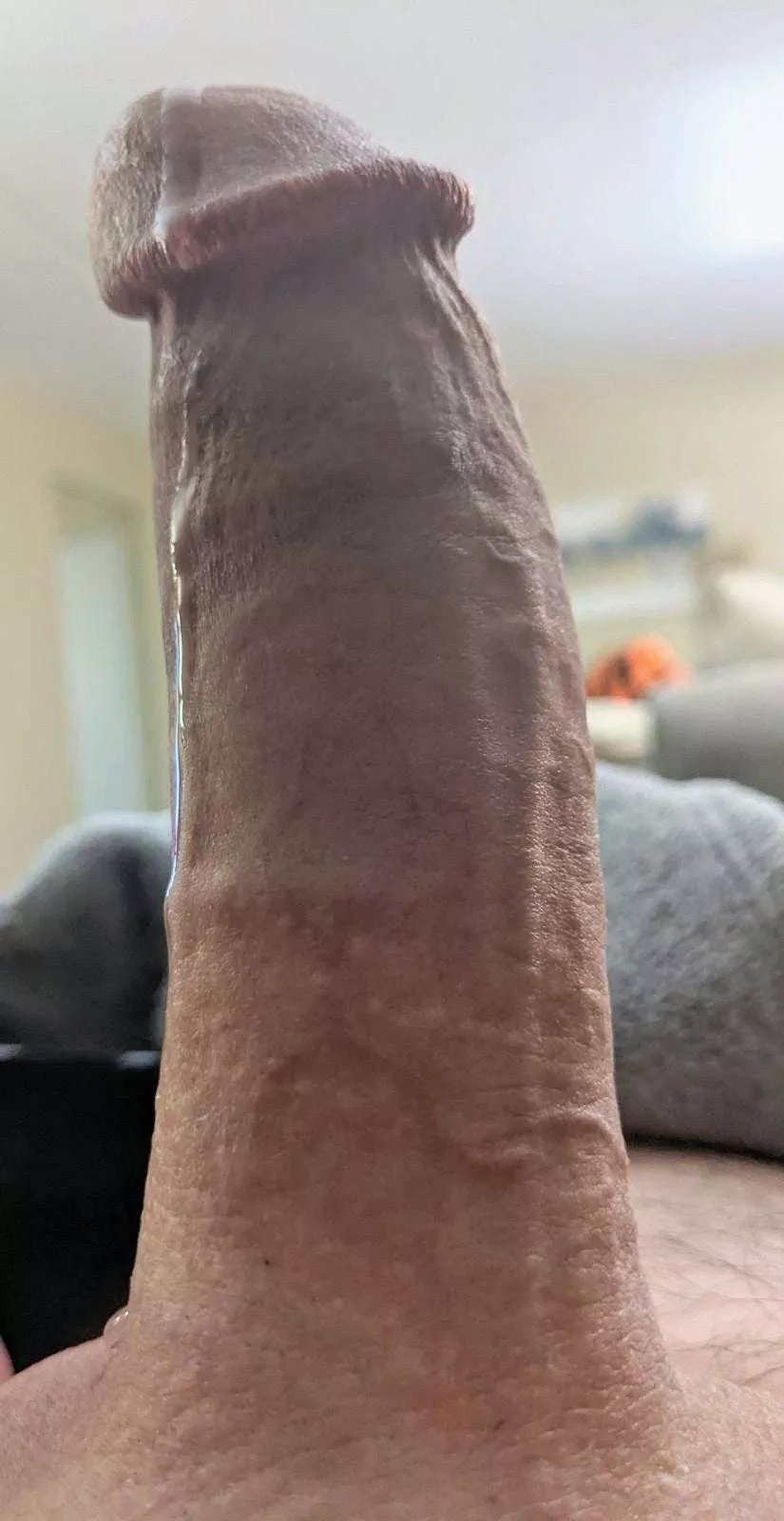 Long, fat and makes way too much precum posted by SixFootFour200lbs