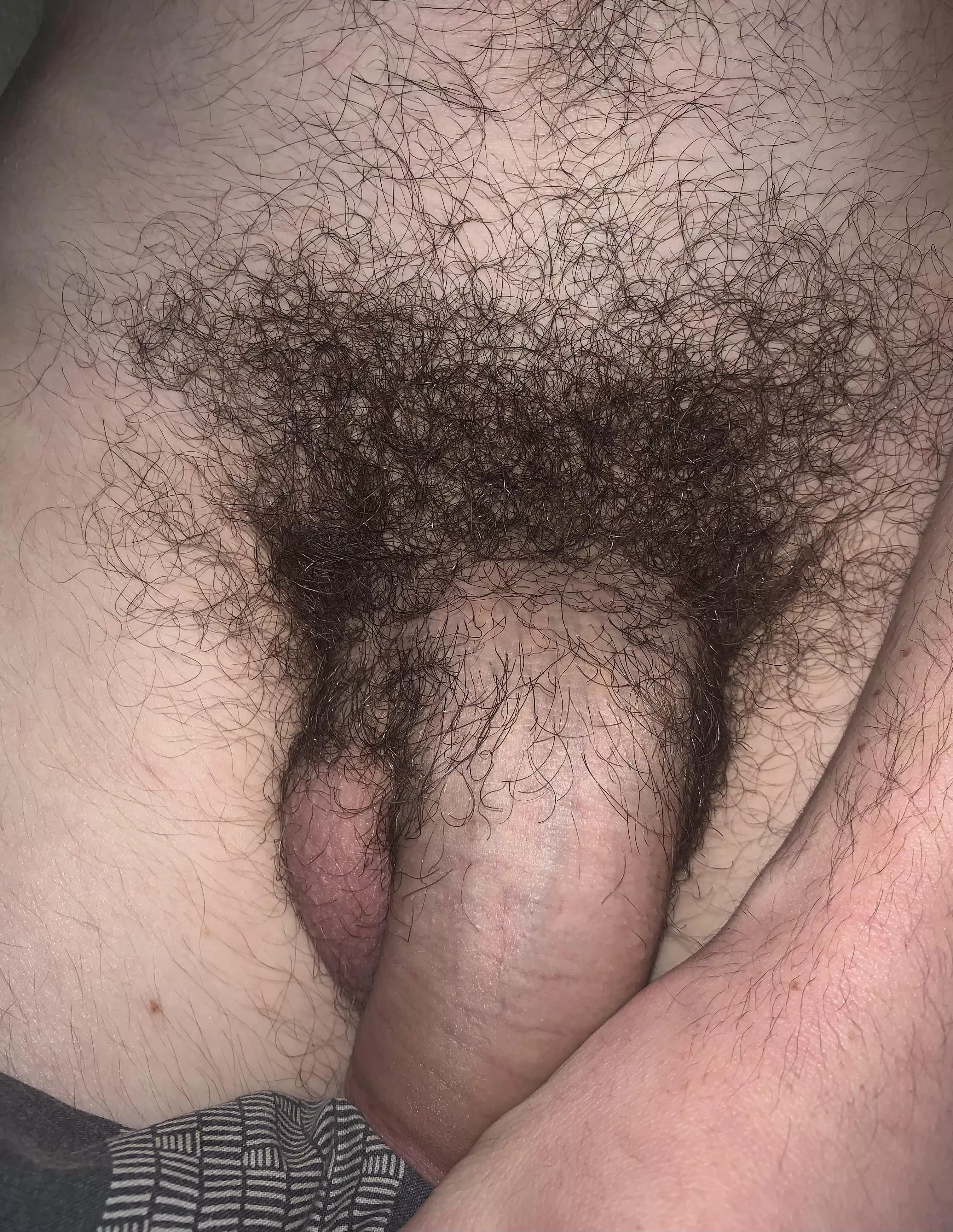 Look at my hairy cock posted by Short_Oil