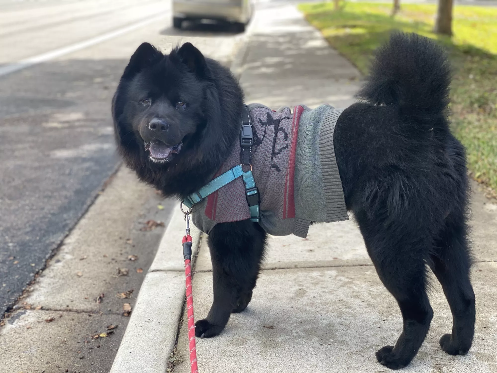 Look at this dapper fella ðŸ¥¸ posted by Routine-Education