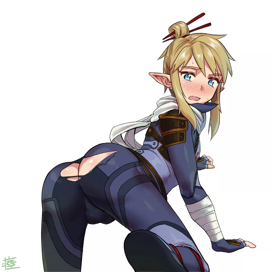 Looks like Link's tights are to tight 🍑 posted by stockings-boi