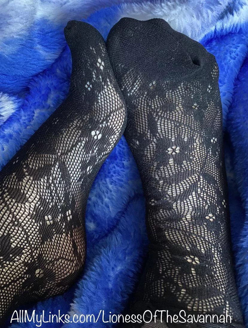 Loooooove my new Fishnet Socks!! 🥰😍😋 posted by Savannahs_Feet