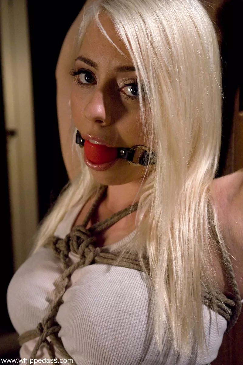 Lorelei Lee. I love the look on her face posted by frustrated_virgin2