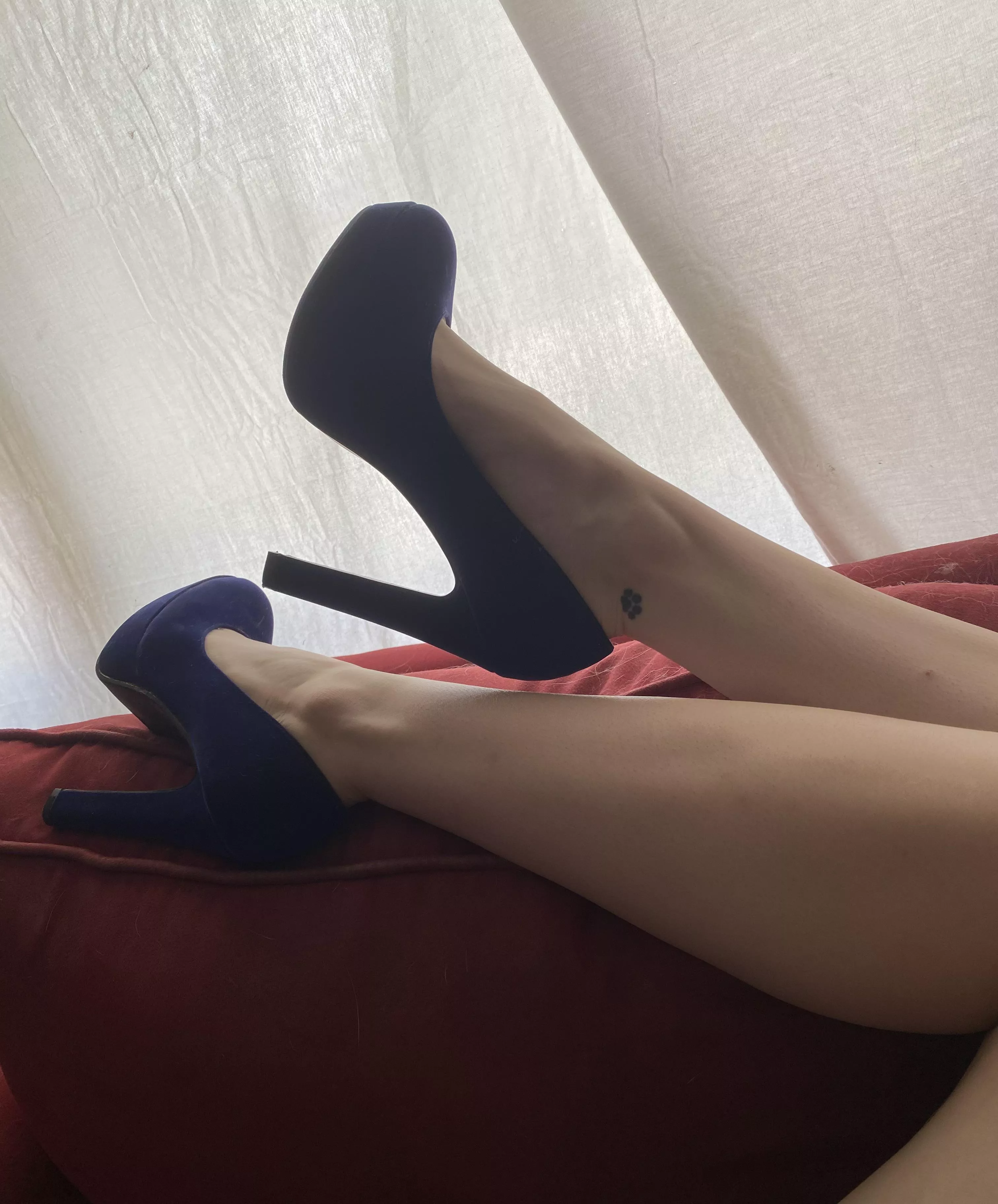 Lounging in my blue suede heels💙 posted by SuccubiStella