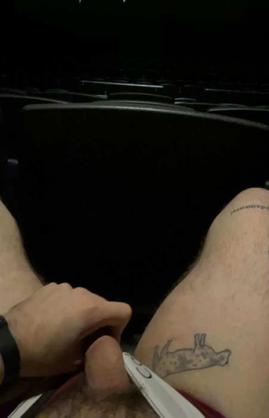 Love getting my cock out at the movies. posted by mwgrage