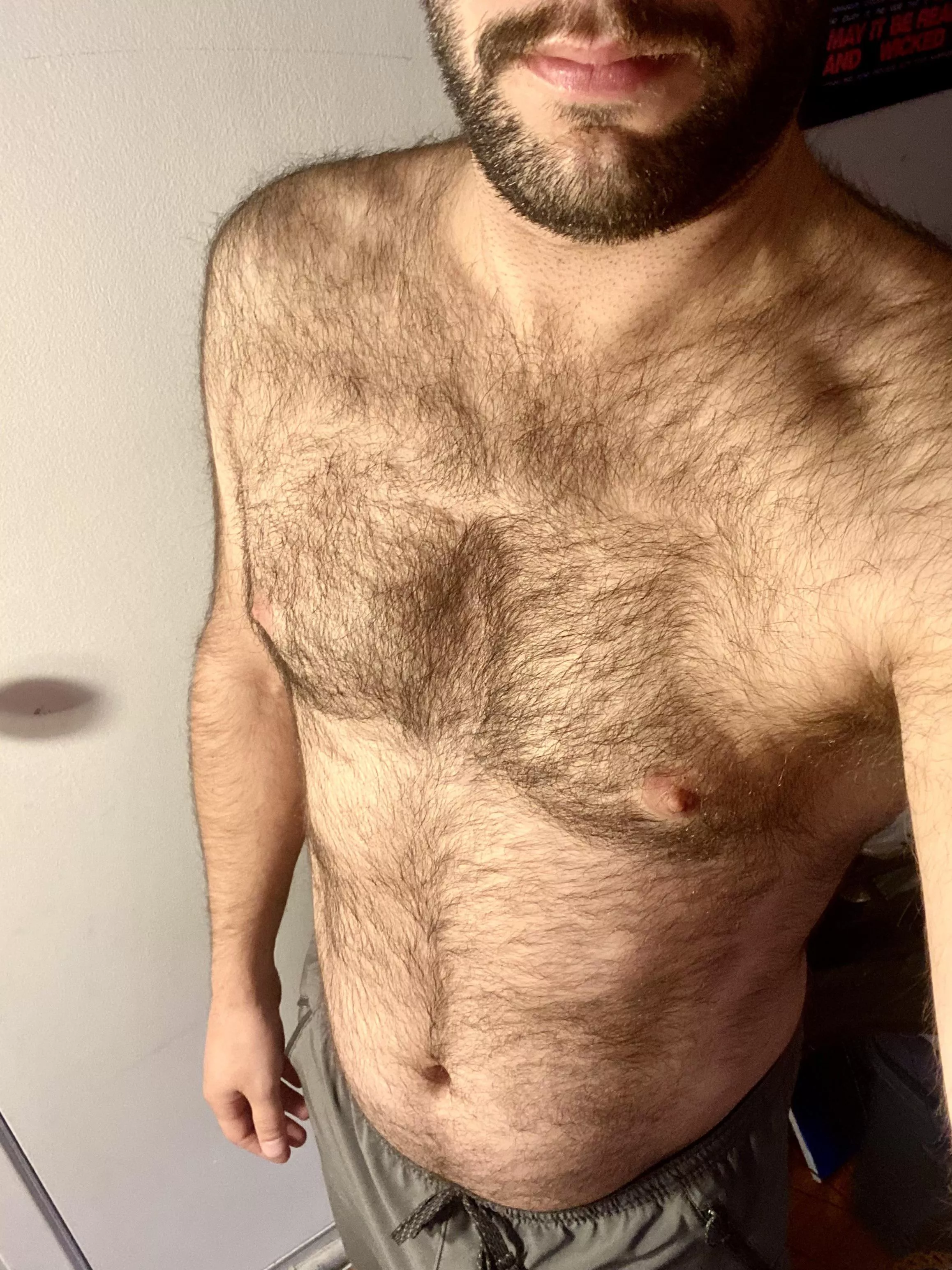 Love getting my fur rubbed down posted by beardyboner