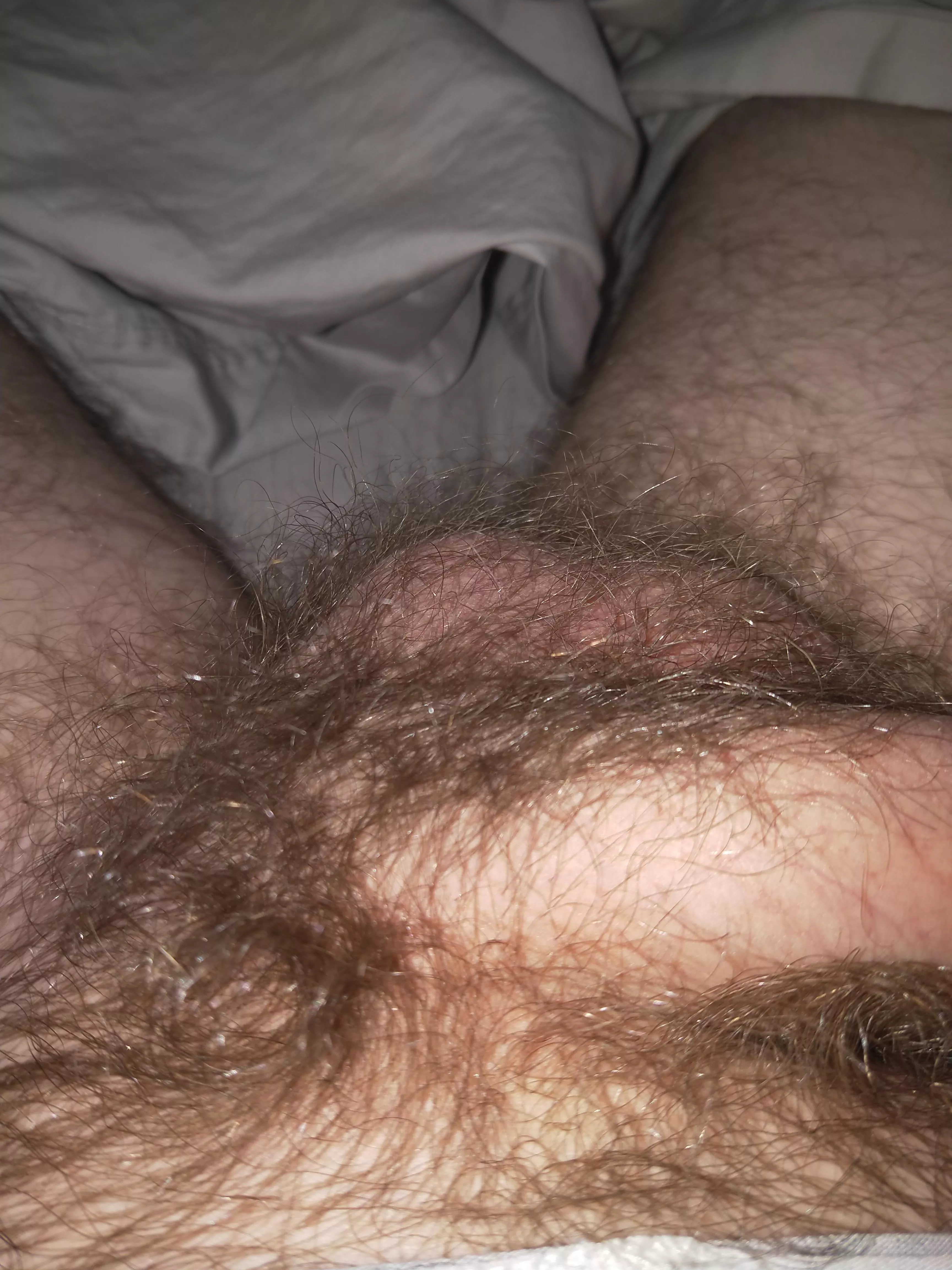 Love having a hairy crotch,, feels good playing with my bush while I jerk posted by Coreygrei69