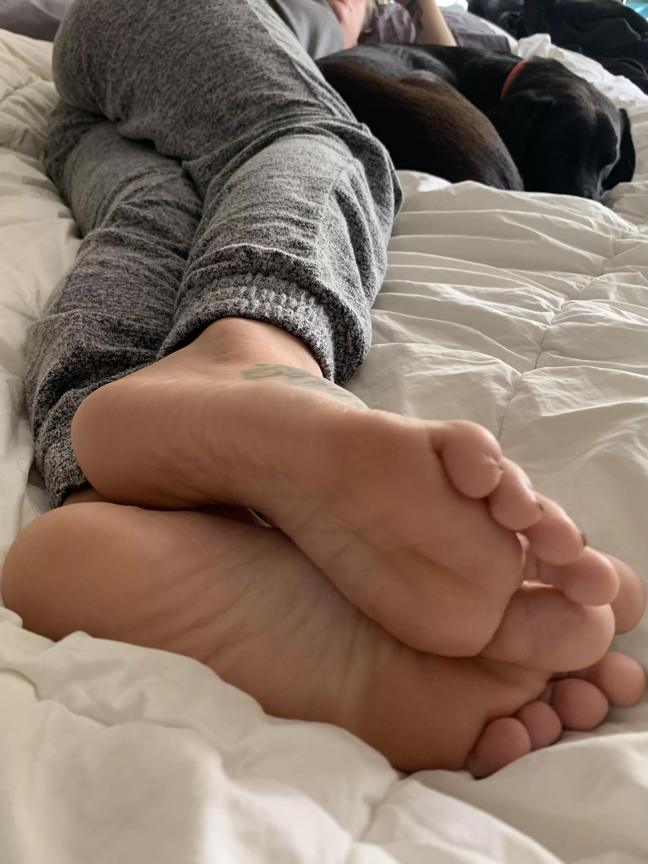 Love pretty lounging feet 🤤 33. Size 6 posted by DadStash