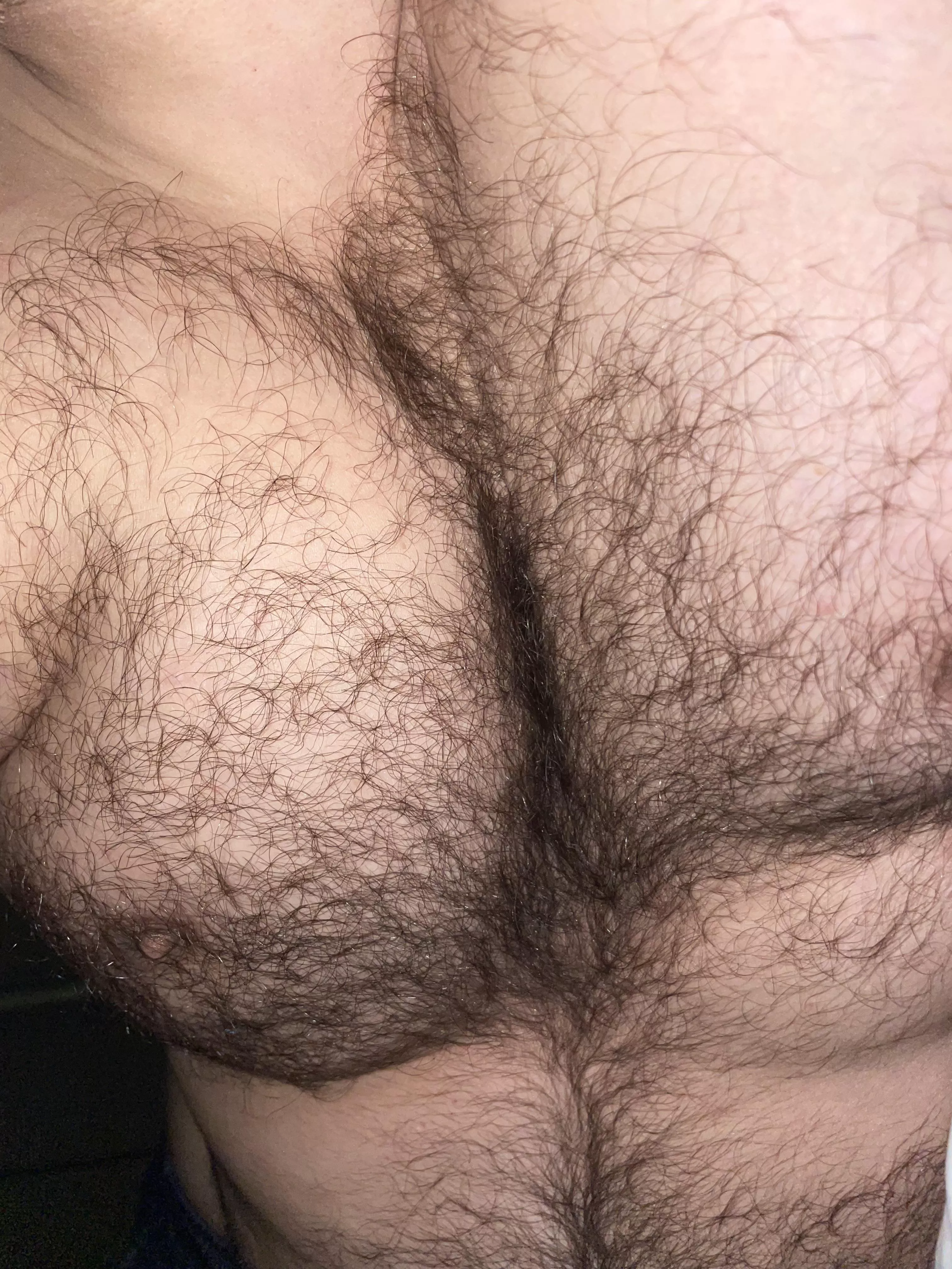 Love showing off my chest posted by Hairbair12