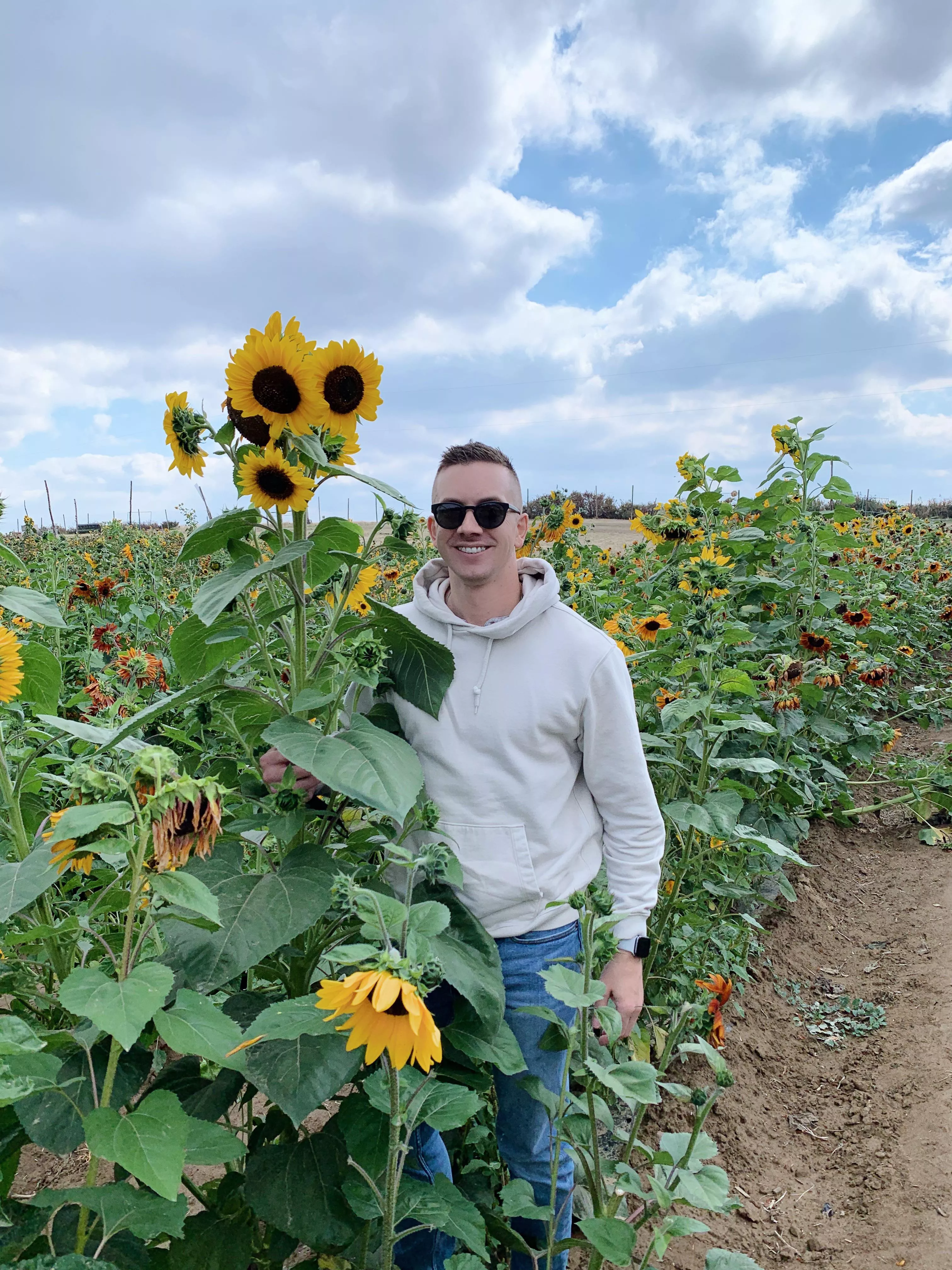 Loves a sunflower field. posted by danielkenton1986