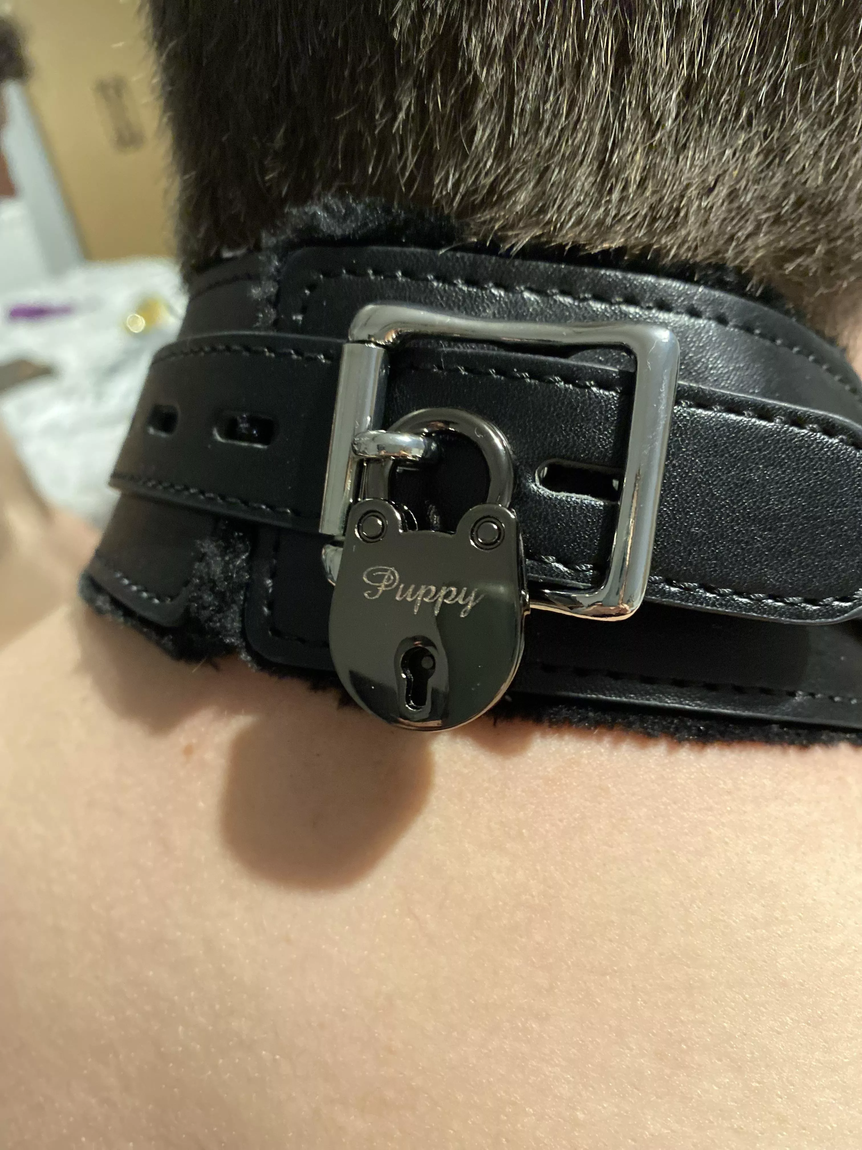 Loving my new collar and padlock from my Dutchess posted by DutchessCollaredPup