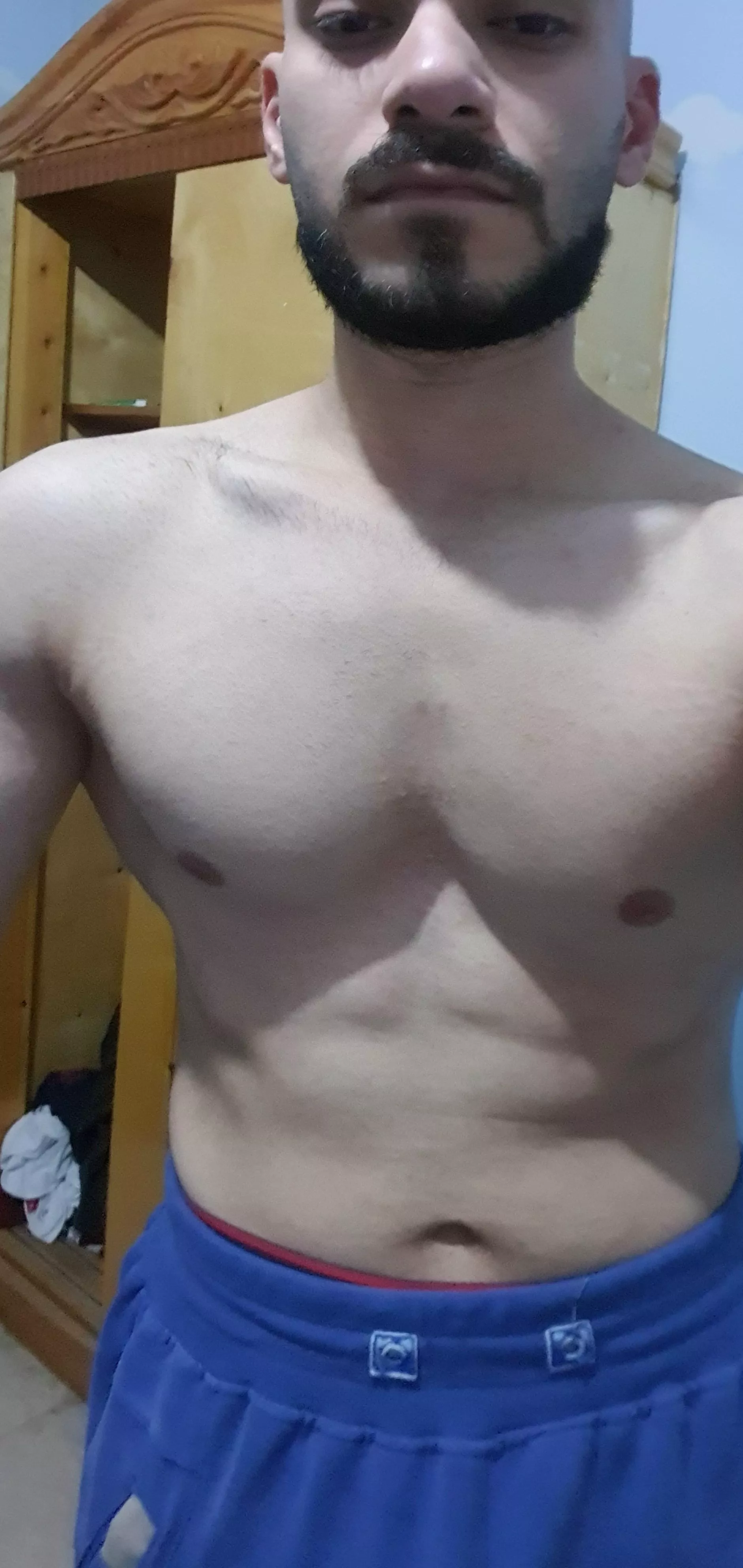 [m] should i bulk or cut posted by will-of-fire