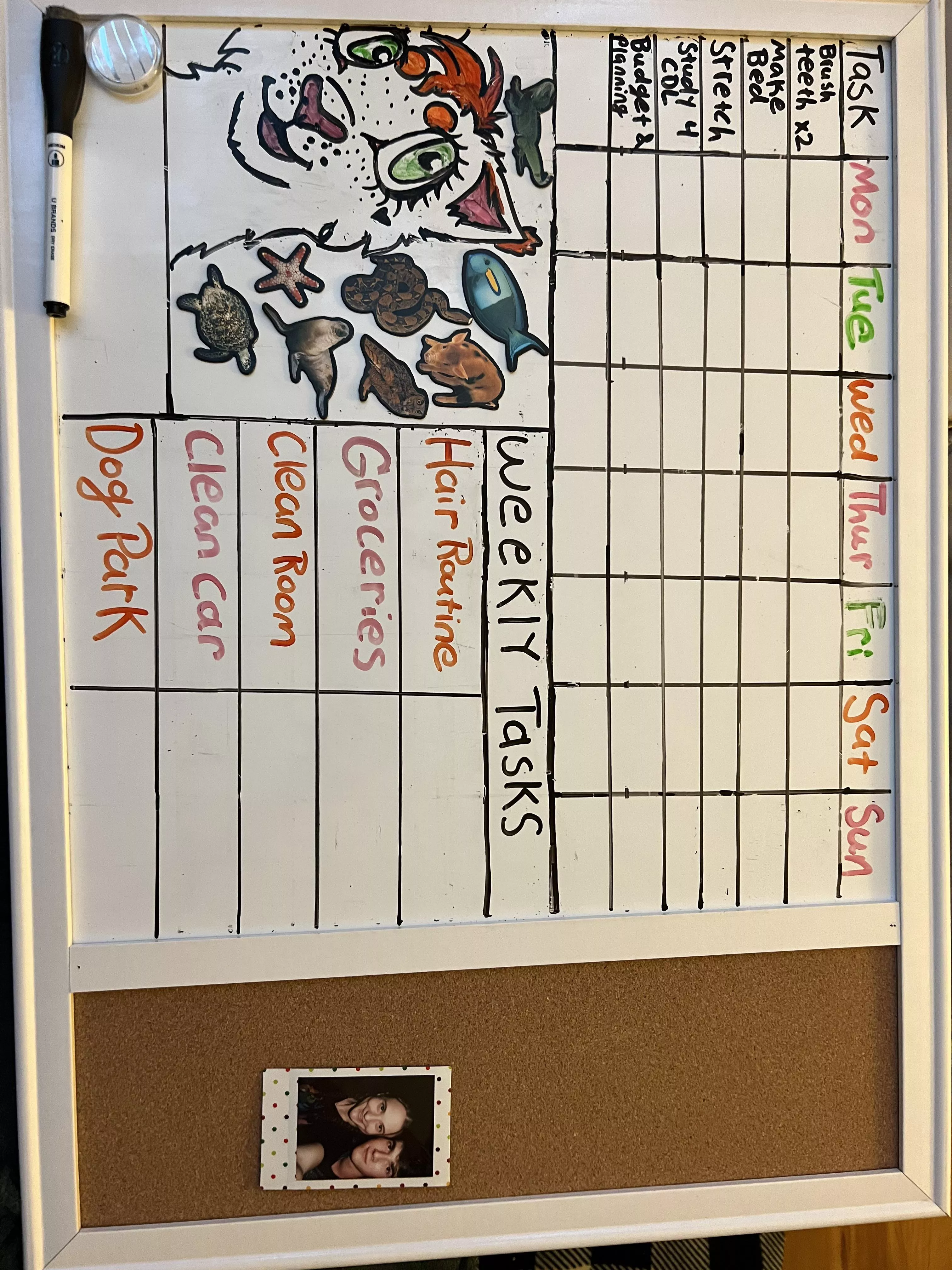 Made a daily and weekly chores chart to motivate me with self care. I move a magnet into the box once Iâ€™ve completed it! posted by FlexyRiah